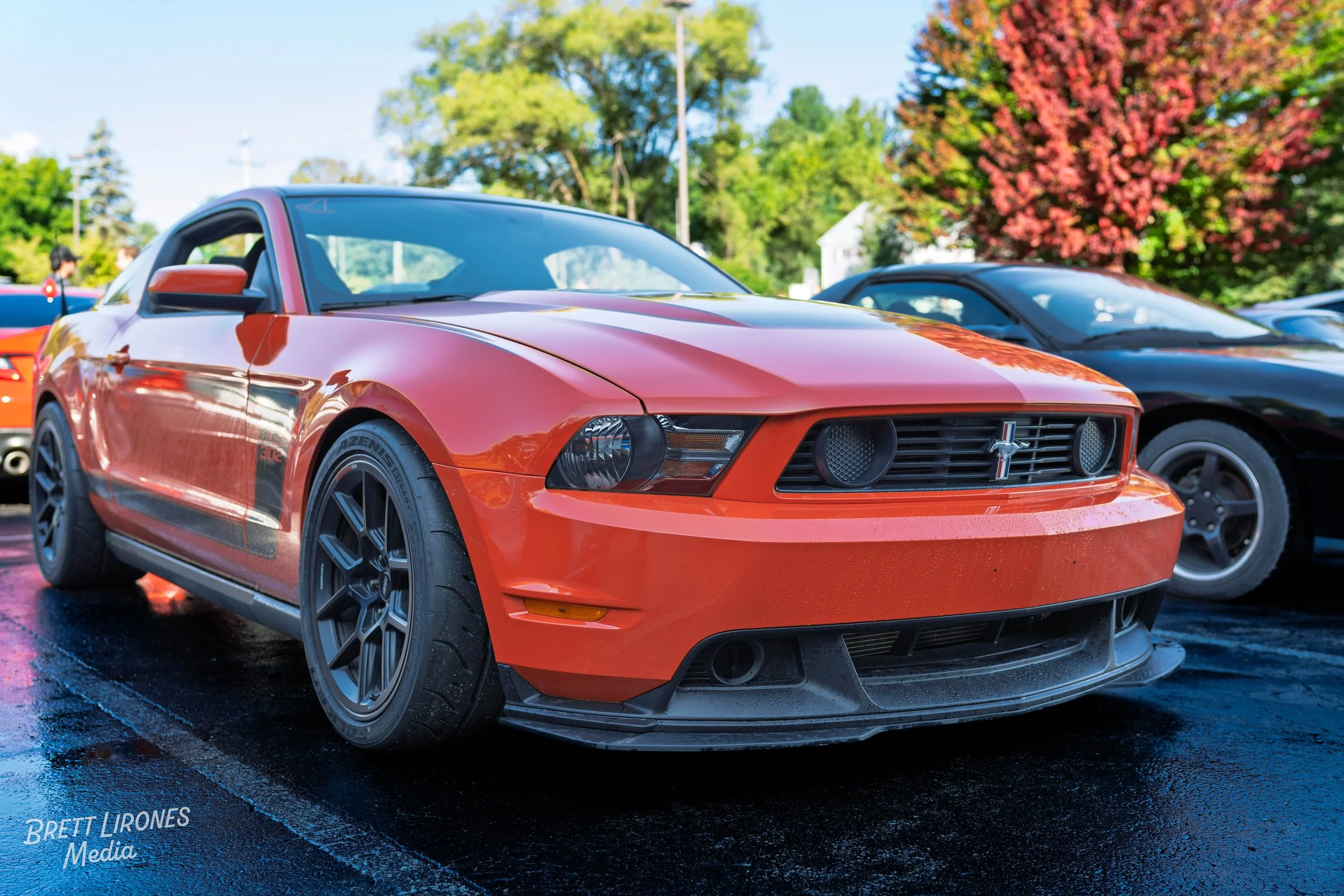 Red Ford Mustang sports car parked on wet asphalt, with other cars and green trees in the background.