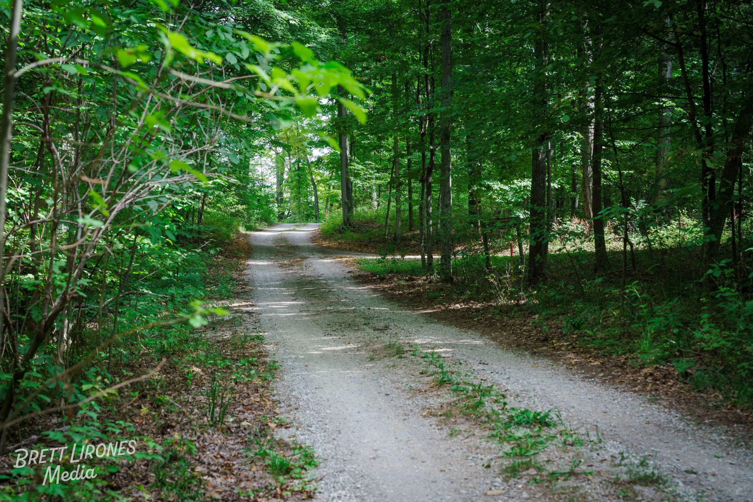 Watermark_web_A7R03121.jpg