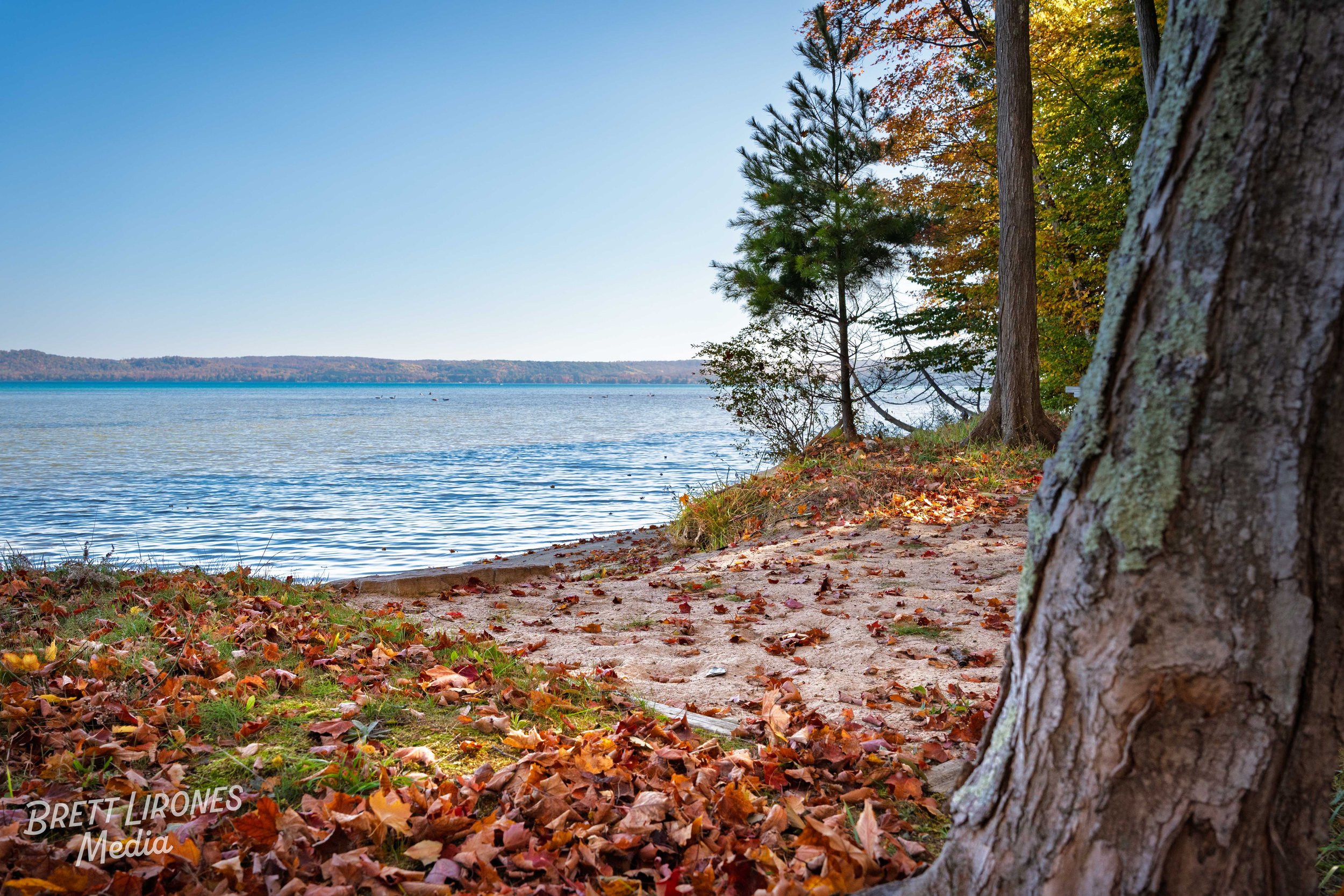 Watermark_web_A9300281.jpg