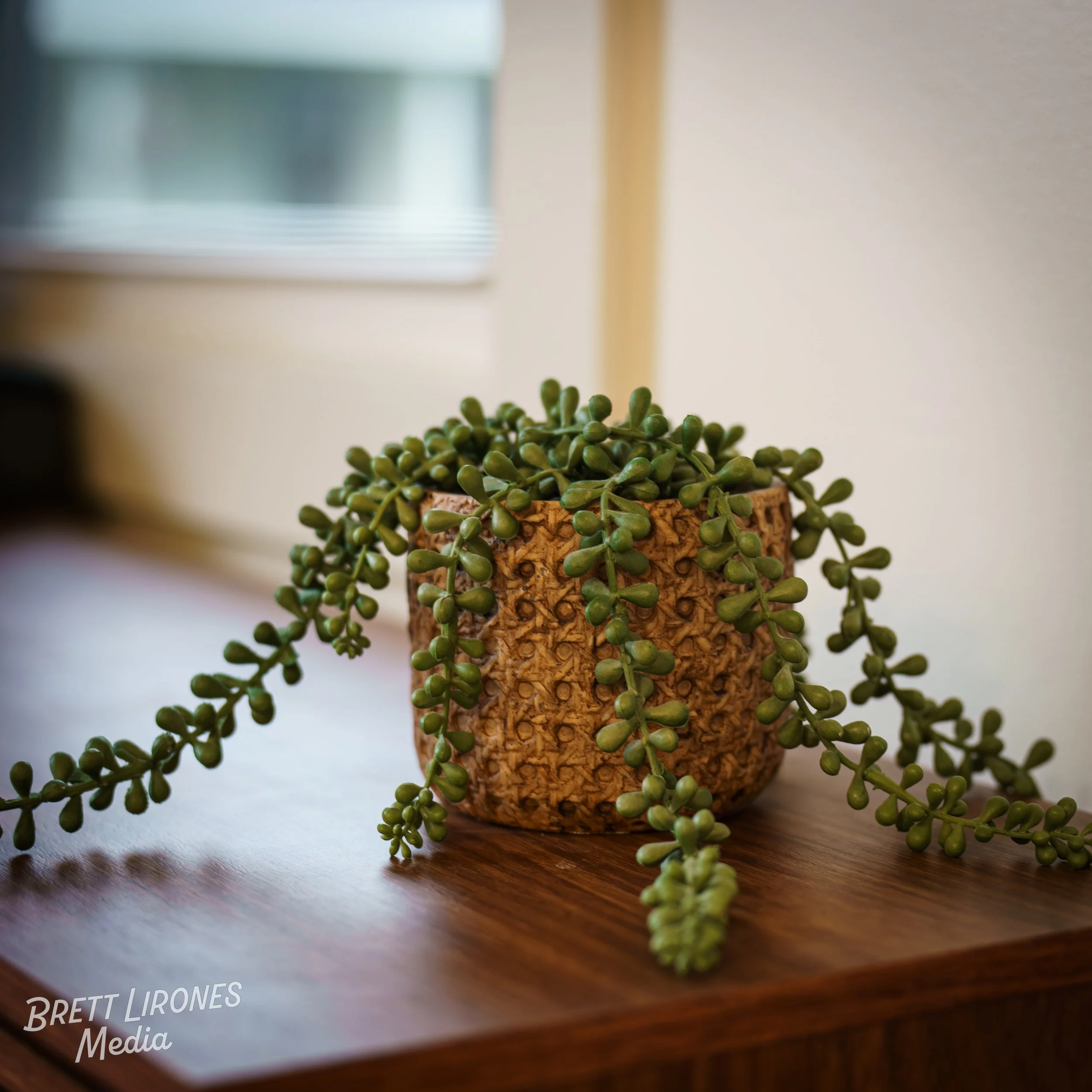 Watermark_web_A7R05994.jpg