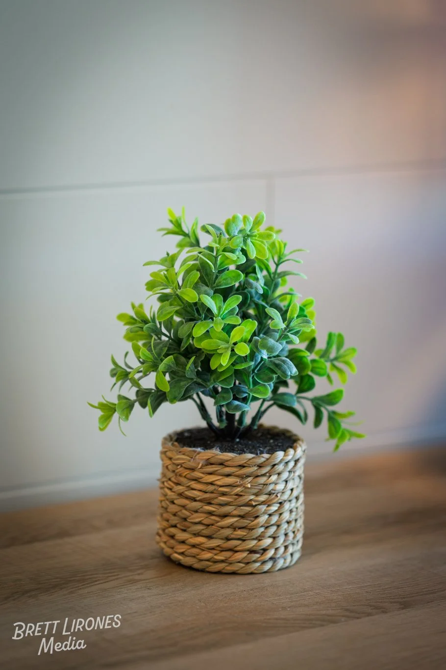 Watermark_web_A7R02312.jpg