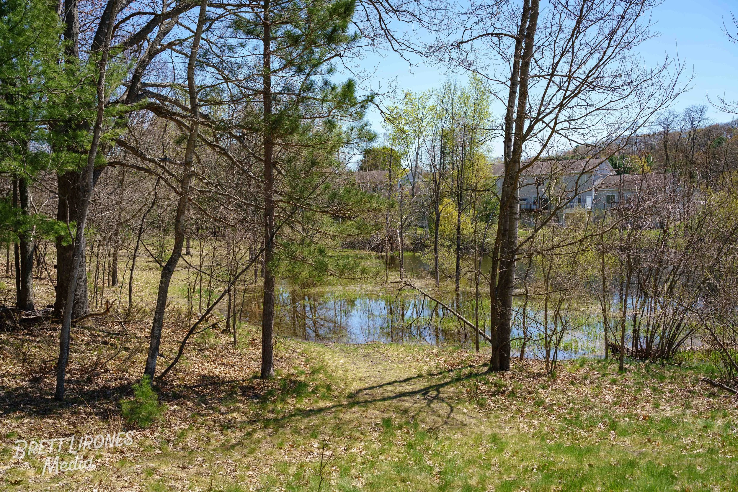 Watermark_web_A7R06466.jpg
