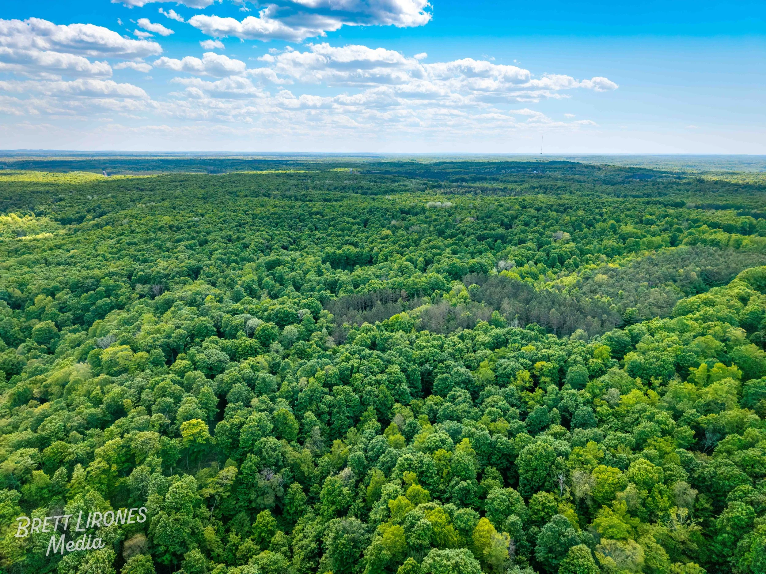 Watermark_web_DJI_20260602031641_0789_D.jpg