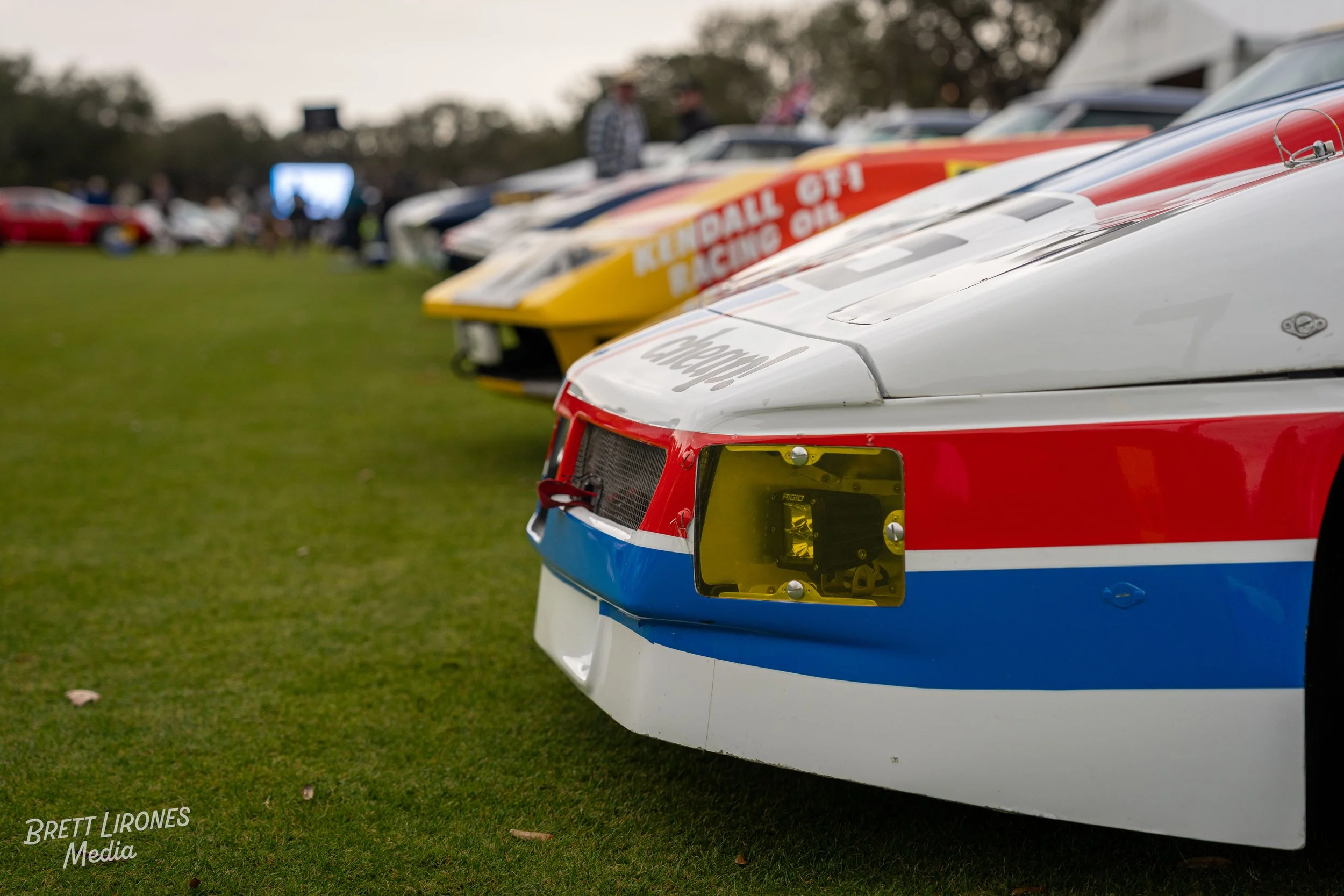 Line of colorful race cars parked on grass at a racing event, with spectators and trees in the background.
