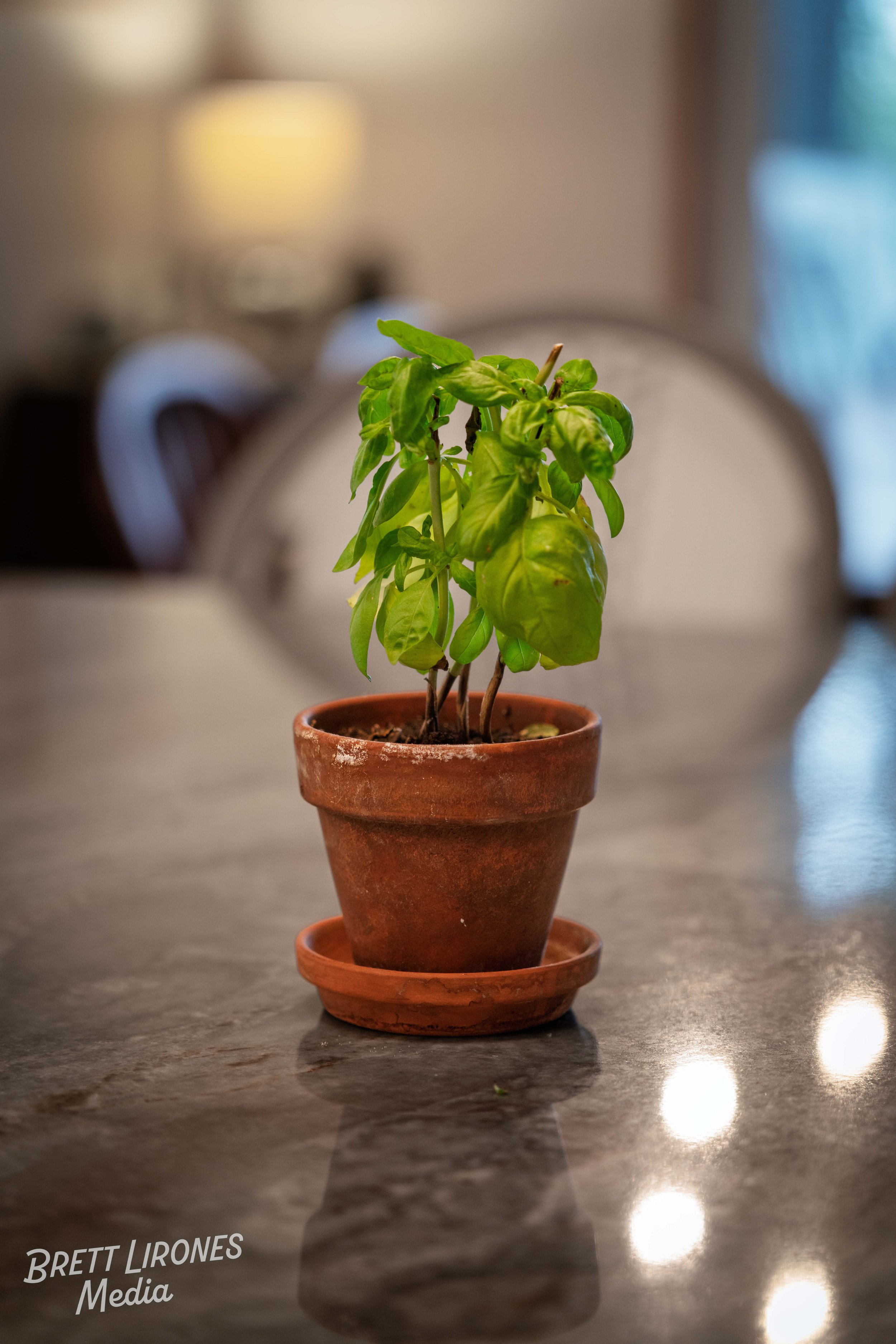 Watermark_web_A7R00585.jpg