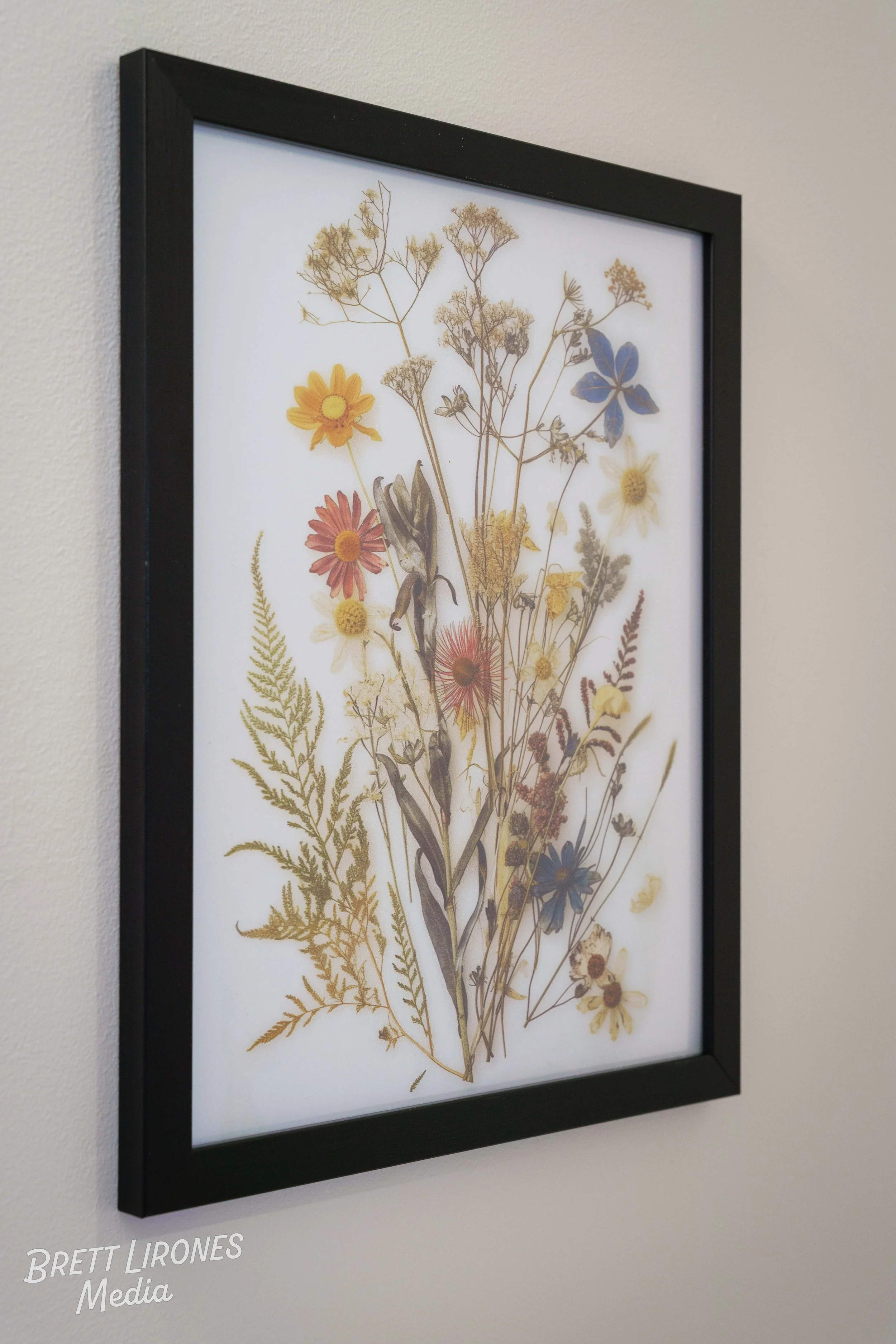 Framed botanical illustration of dried flowers and leaves on white background hung on wall.