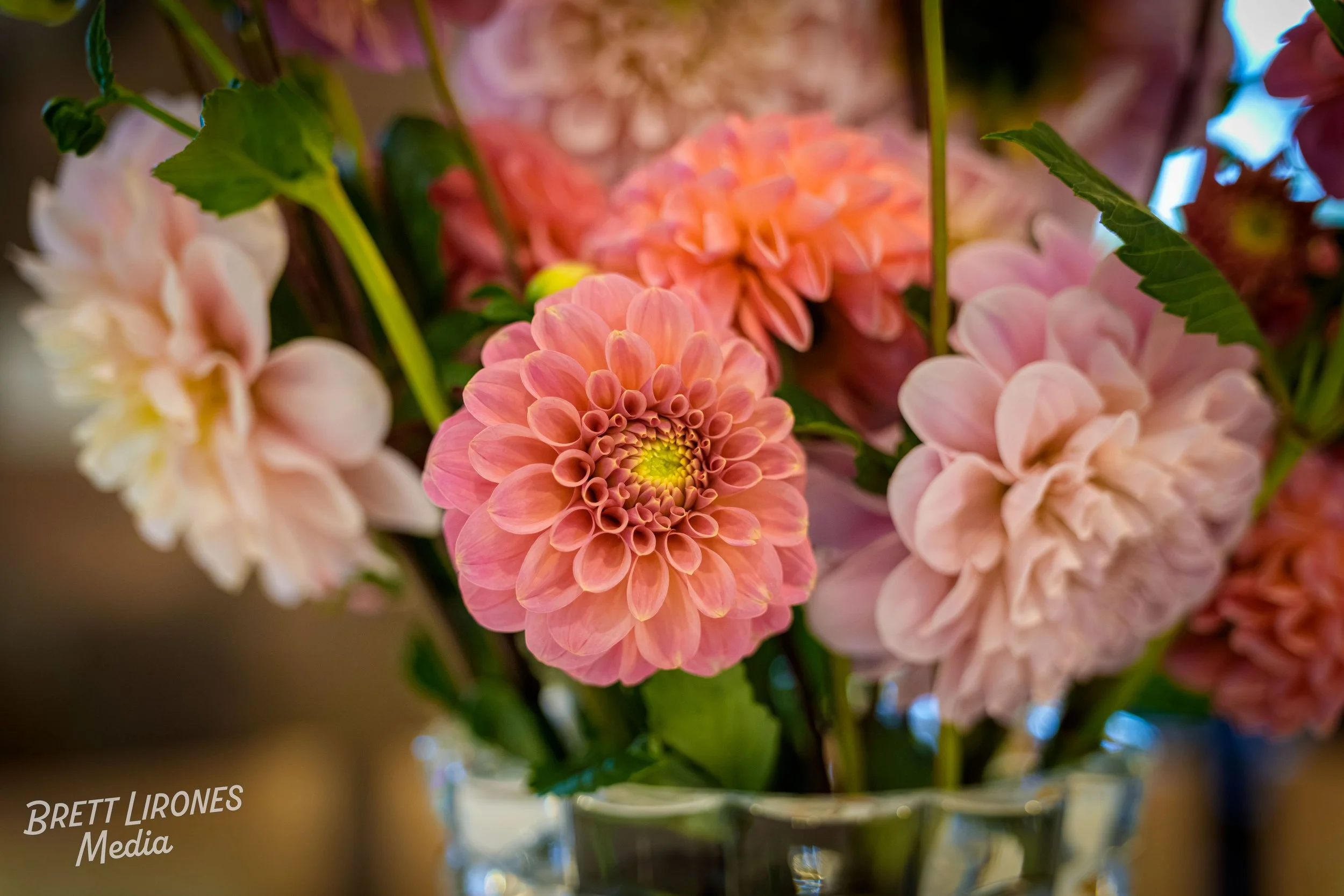Watermark_web_A9303693.jpg