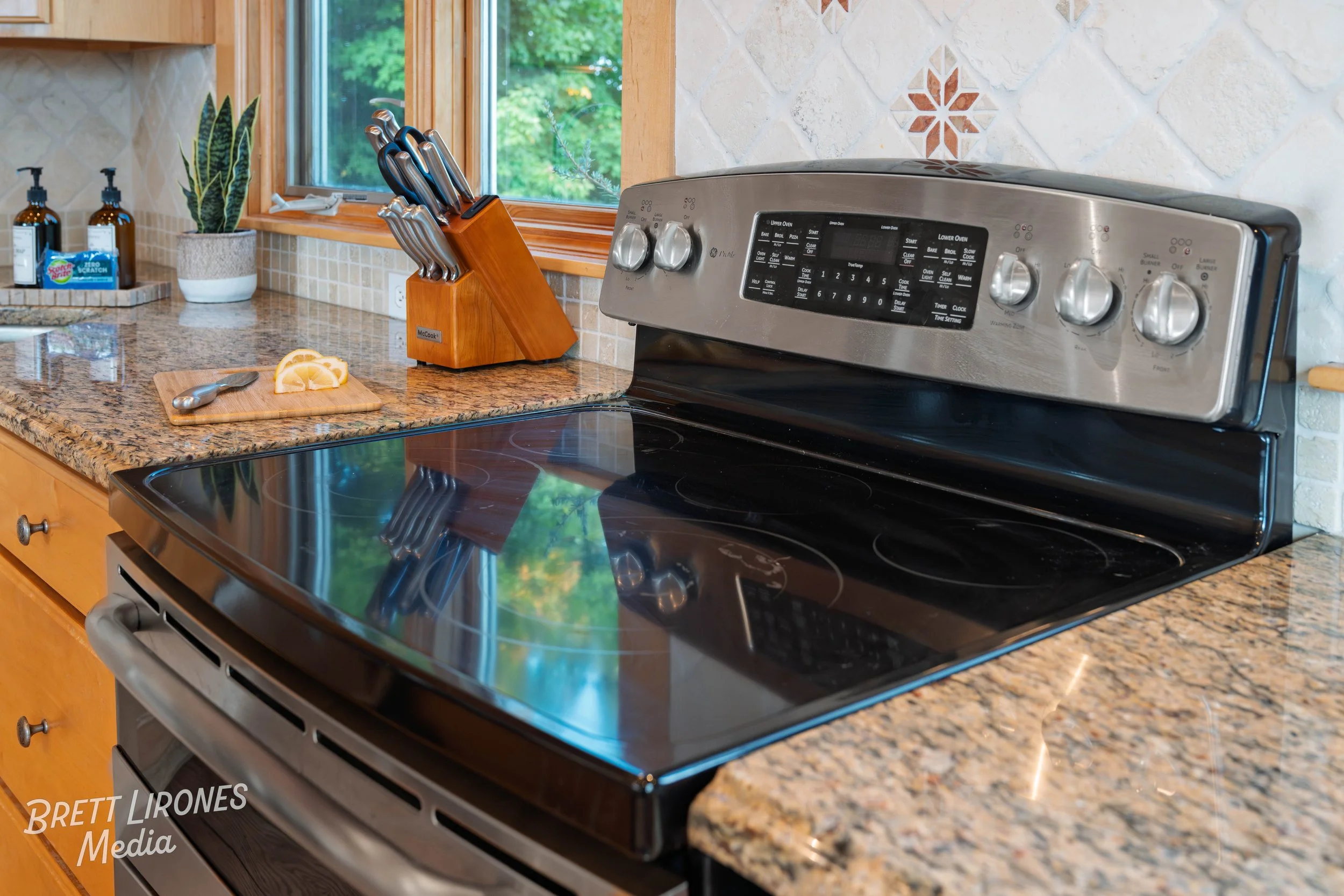 A kitchen countertop with a black electric stove, a knife block, a cutting board with lemon slices, soap bottles, a potted plant, and a window showing greenery outside.