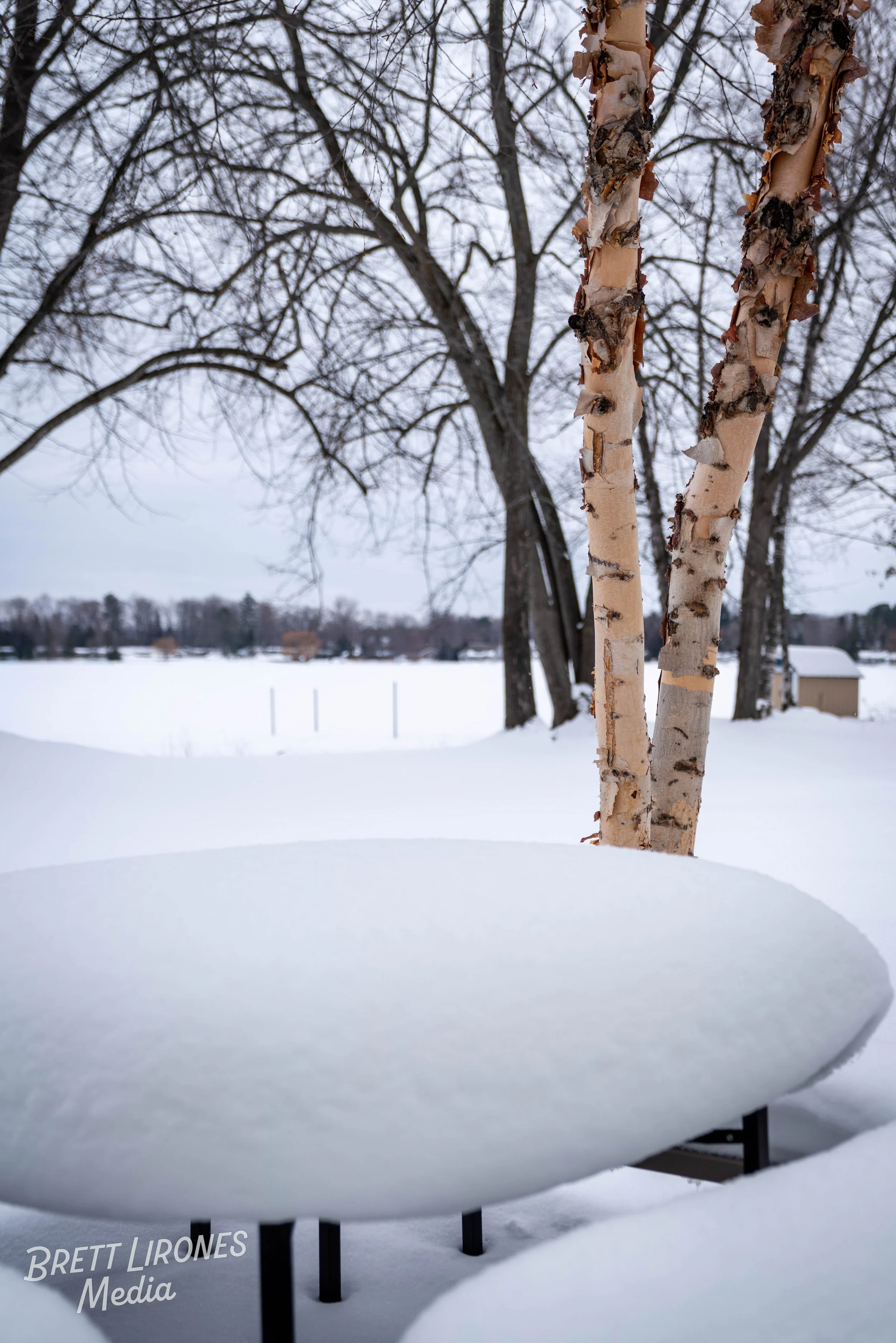 Snow-covered park with leafless trees and a bench covered in snow in the foreground.