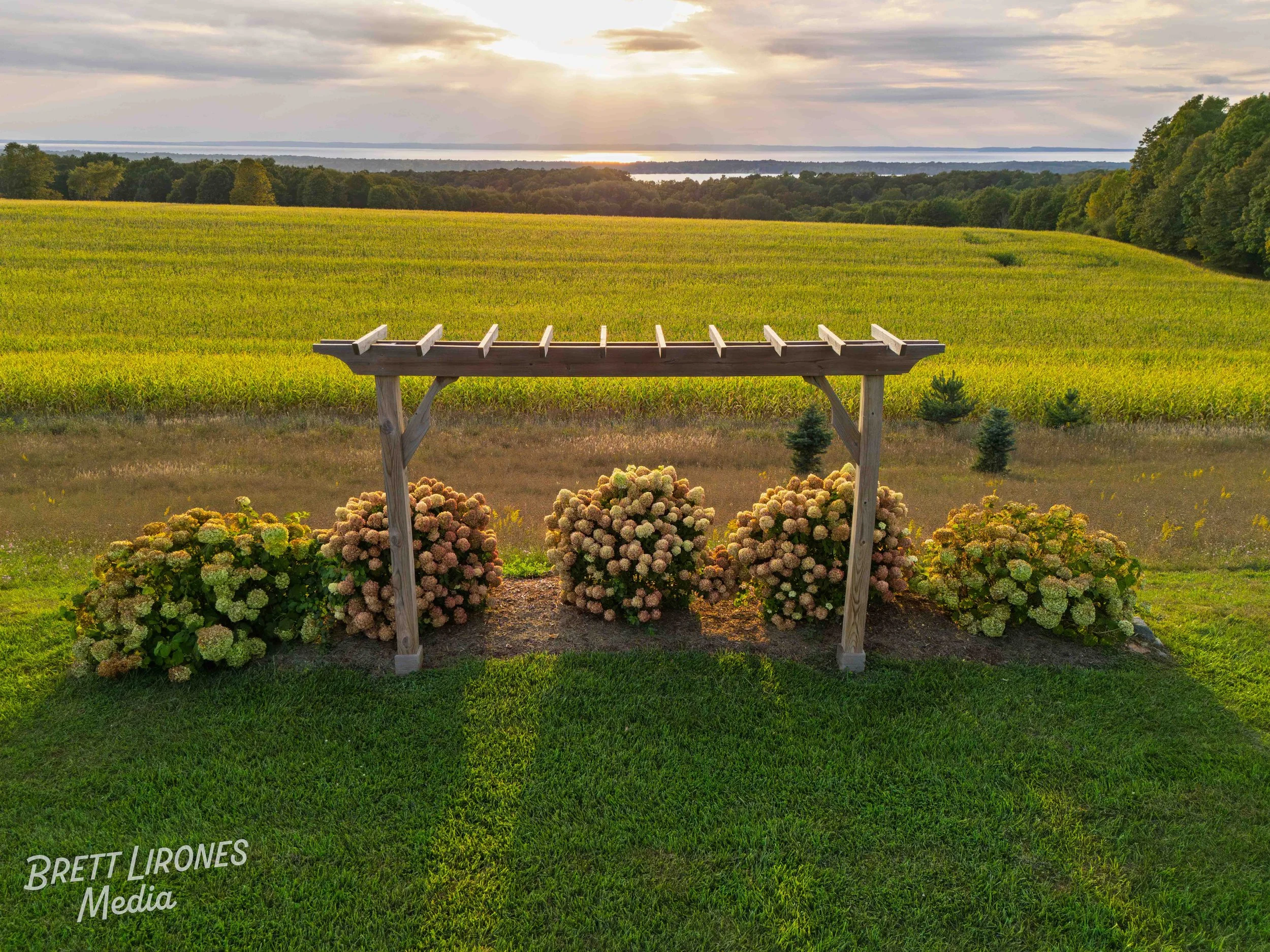 A landscape featuring a garden with bushy pink and white flowers under a wooden structure, with a vast green field and trees in the background at sunset.