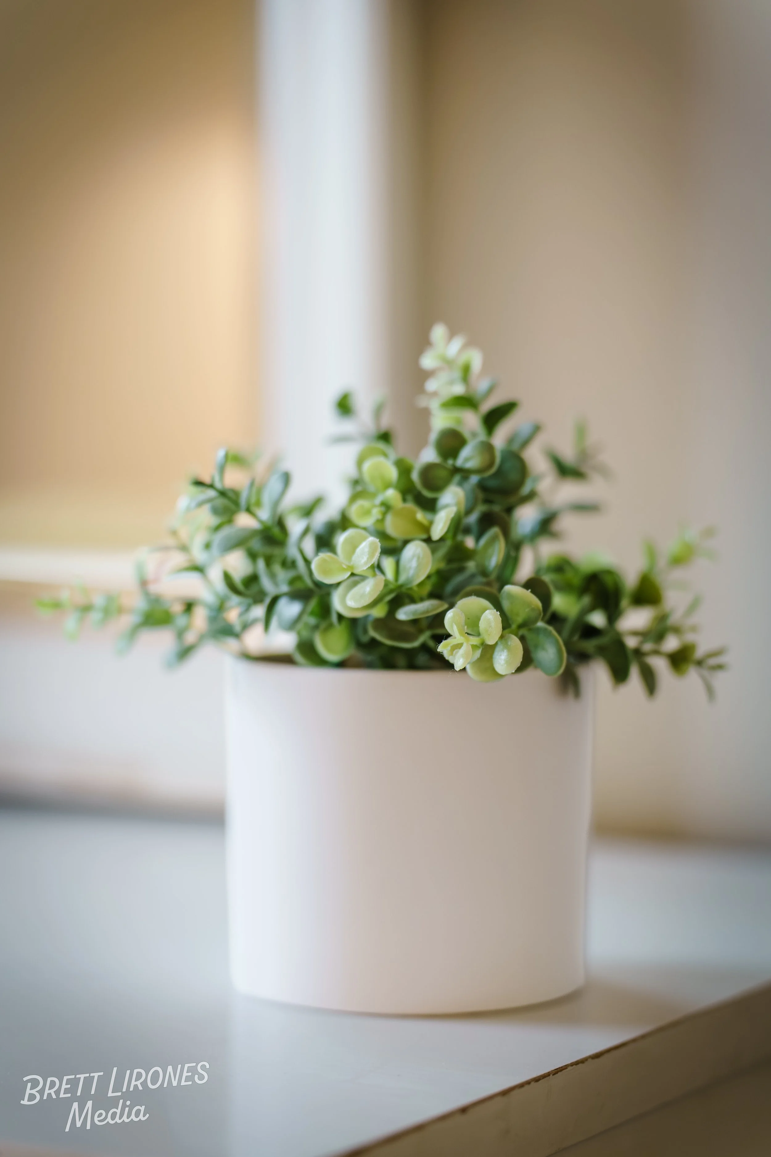 Watermark_A7R05823.jpg