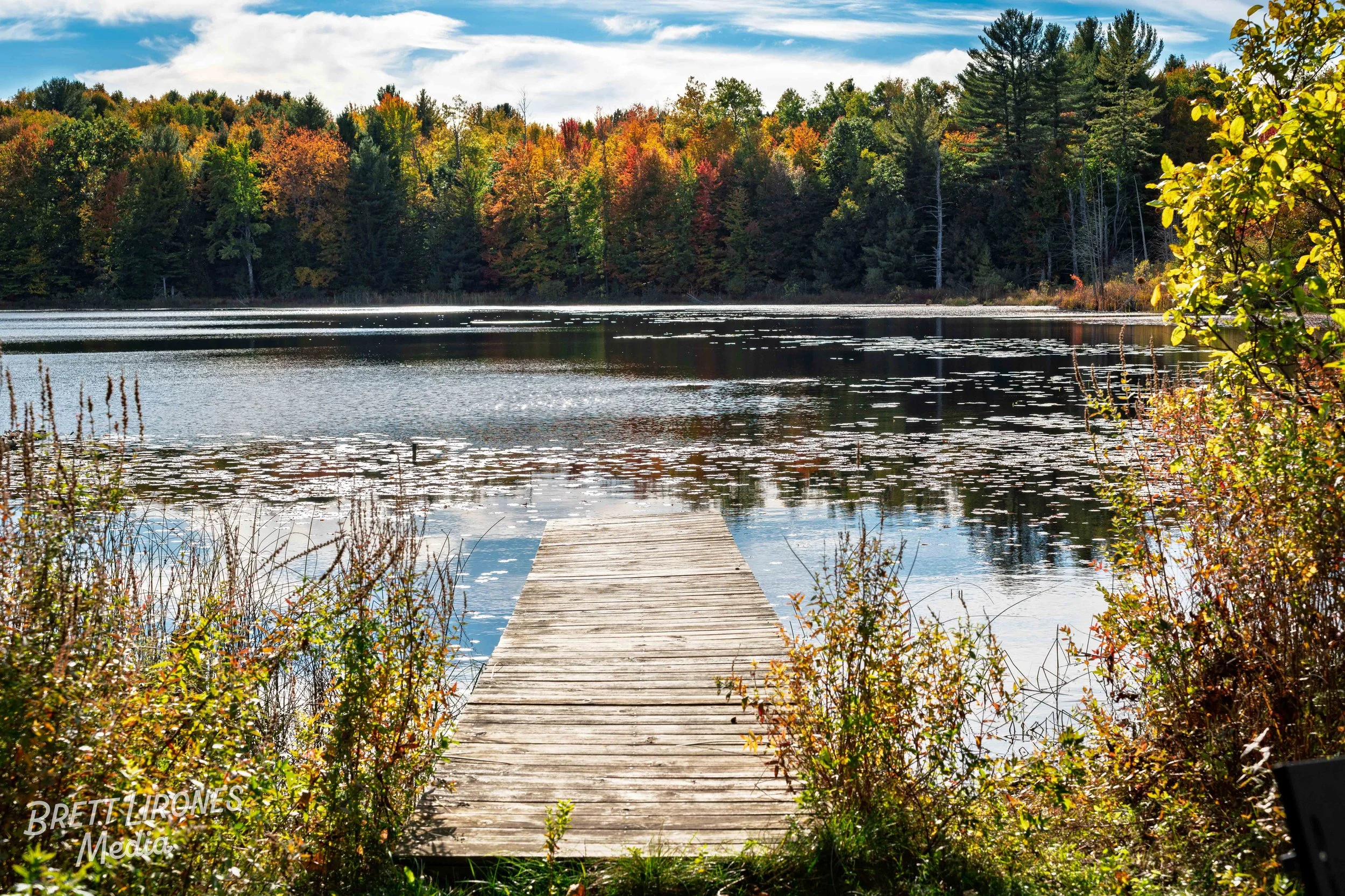 Watermark_web_A7R07654.jpg