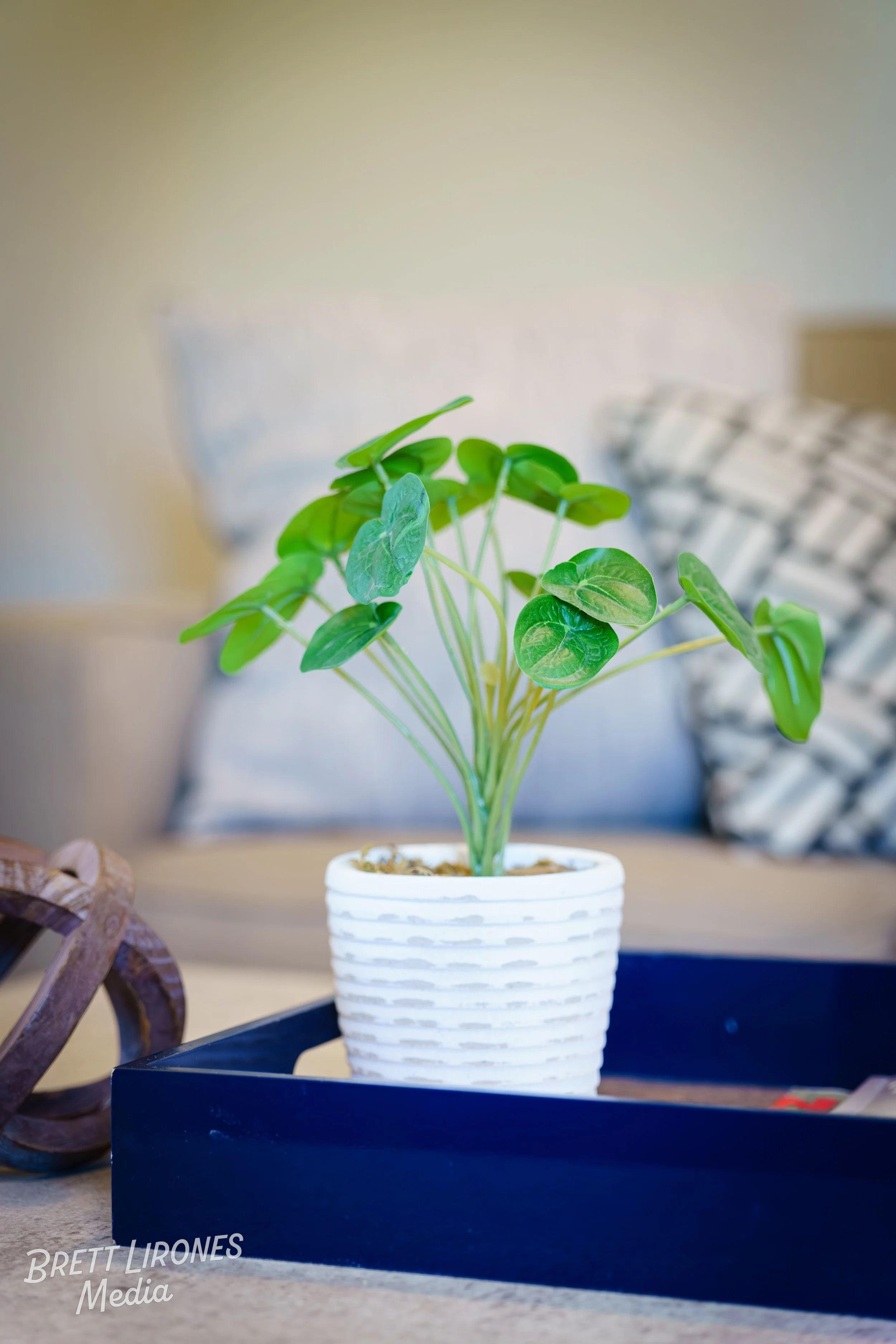 Watermark_web_A7R08268.jpg