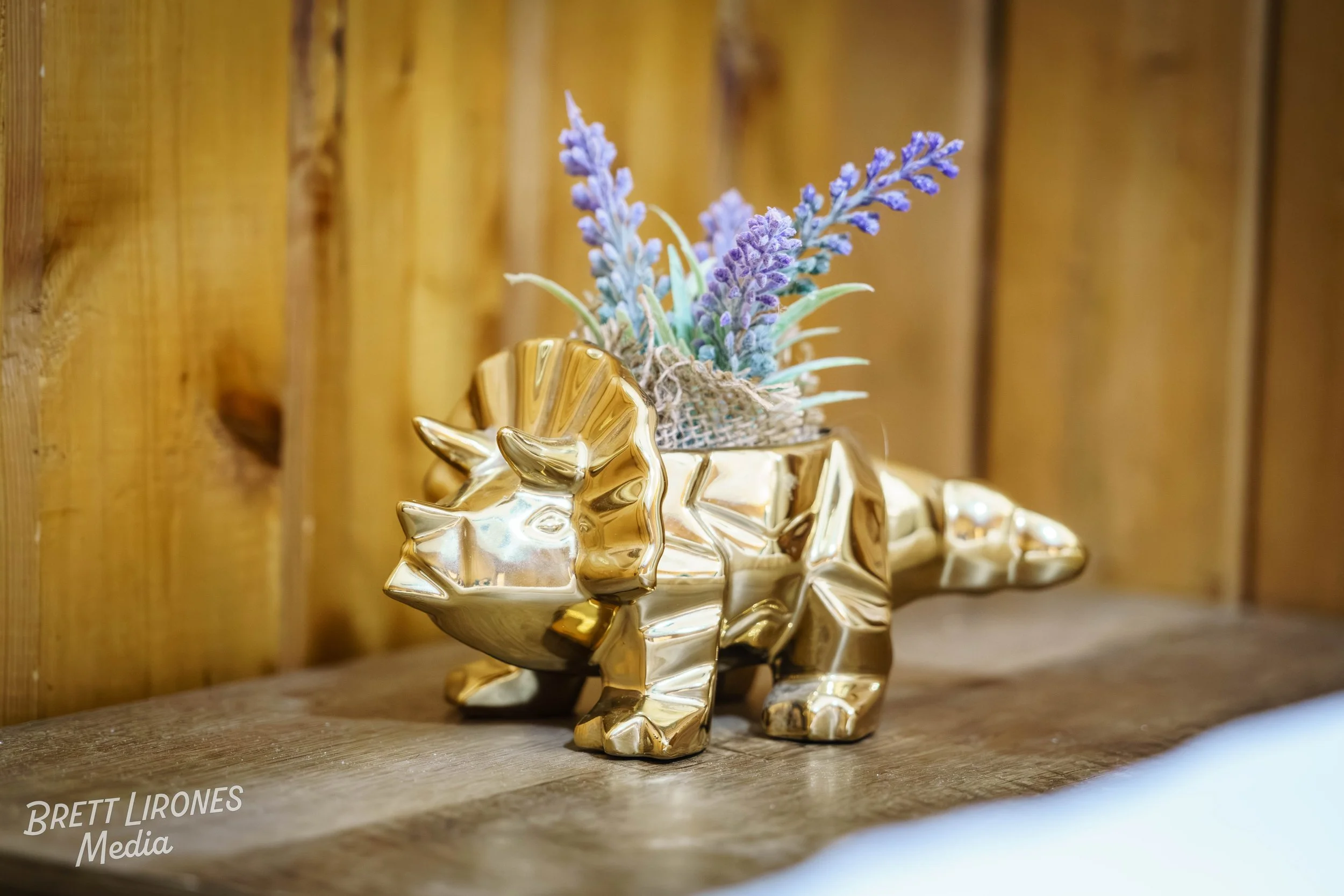 Watermark_web_A7R07570.jpg