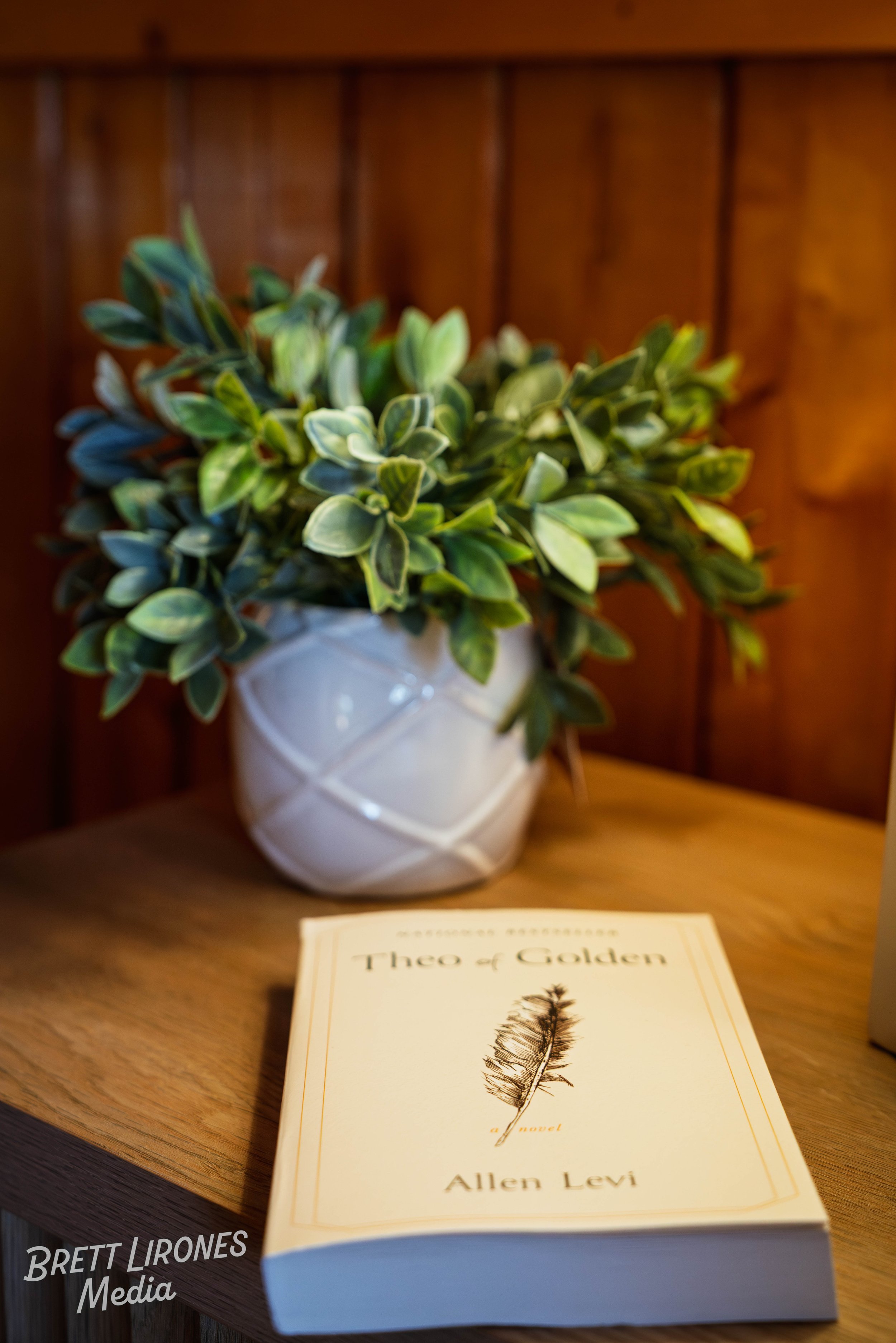 A potted green and white variegated plant sitting on a wooden surface with a paperback book titled "Theo of Golden" by Allen Levi in front of it.