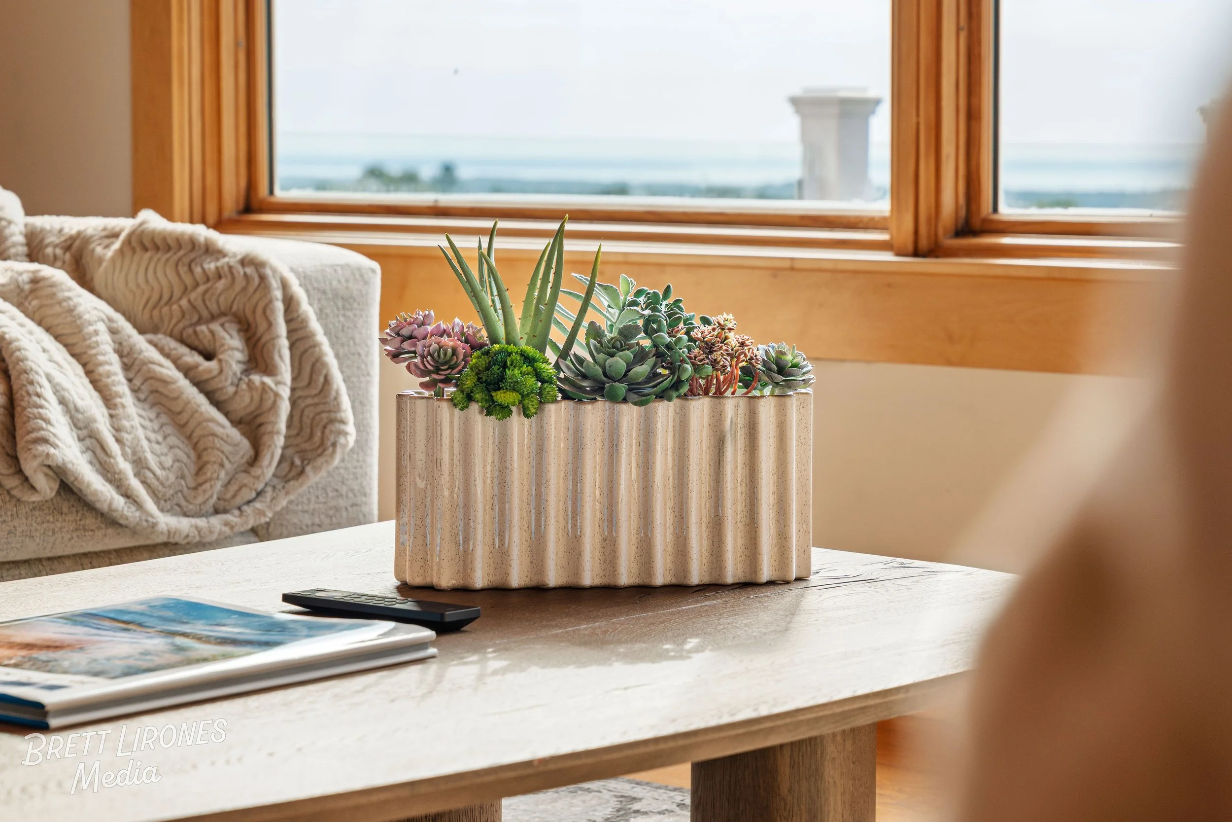 Indoor scene featuring a rectangular ceramic planter with various succulents on a wooden table, with a sofa draped with a chunky blanket and a window showing an outdoor view in the background.