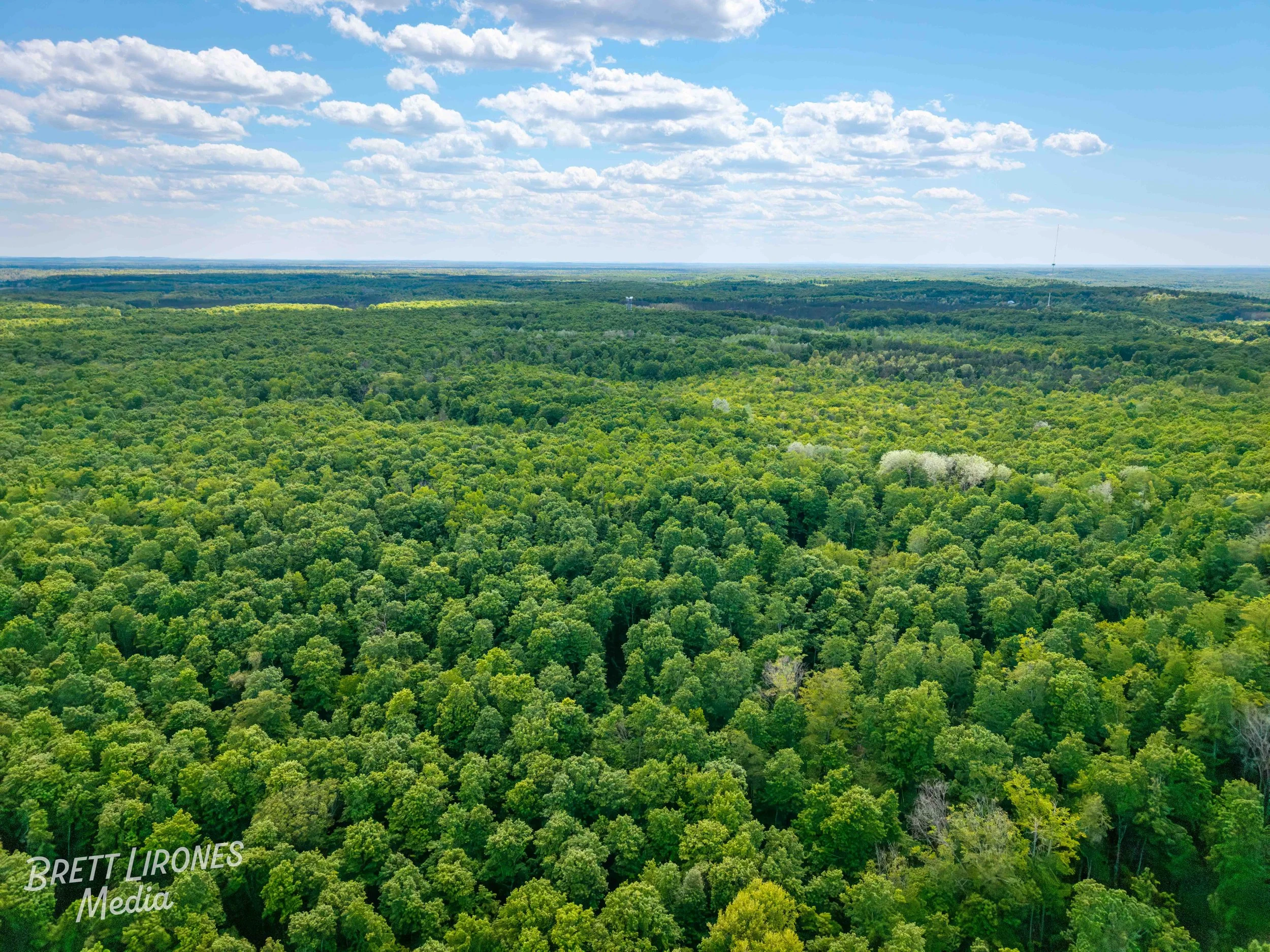 Watermark_web_DJI_20260602031512_0781_D.jpg
