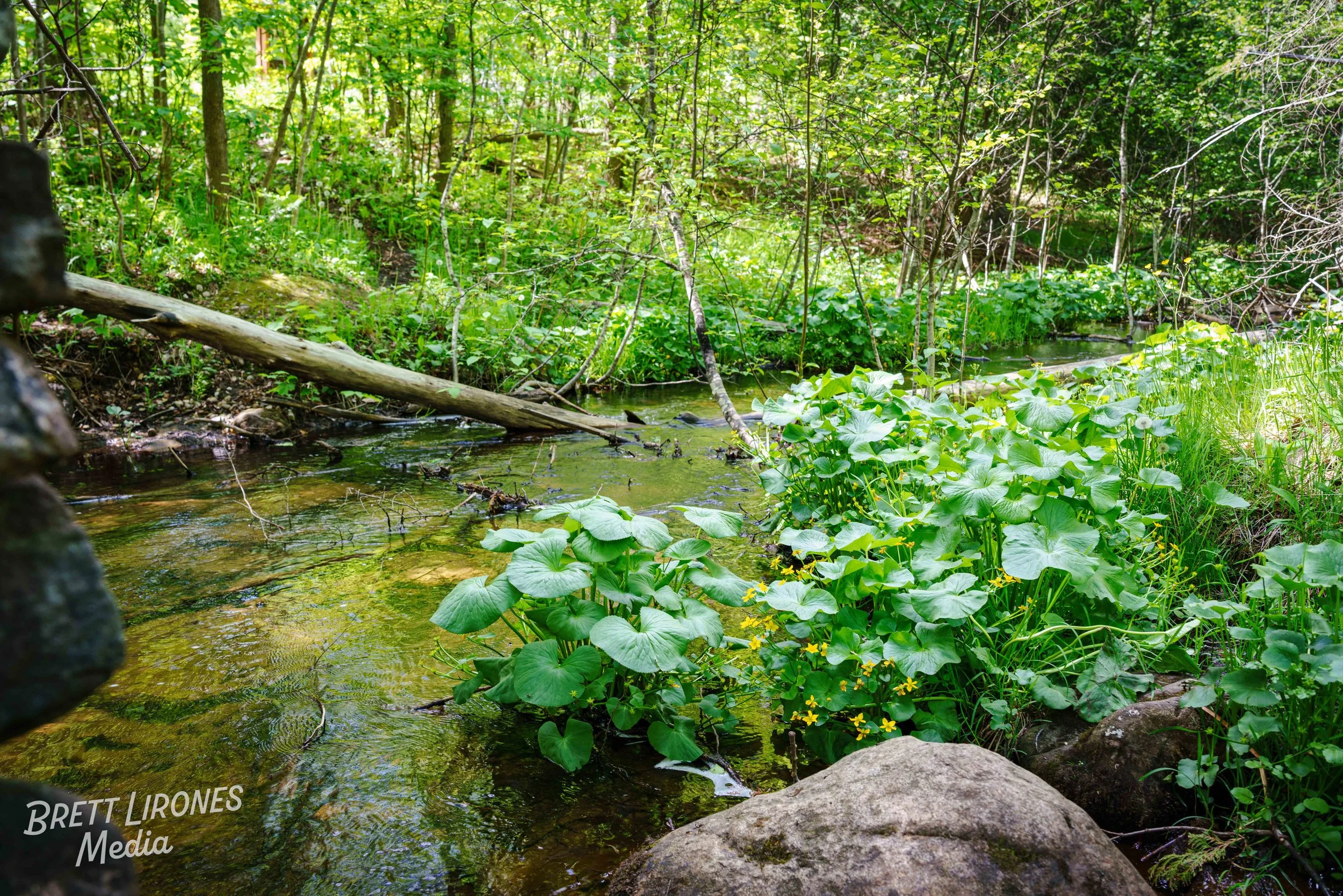 Watermark_web_A7R08329.jpg