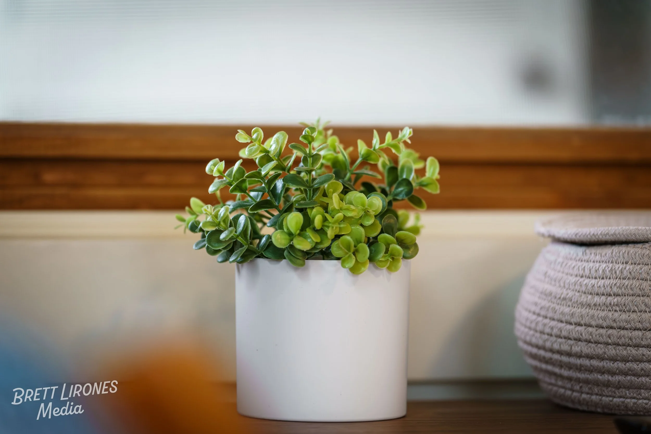 Watermark_web_A7R06221.jpg