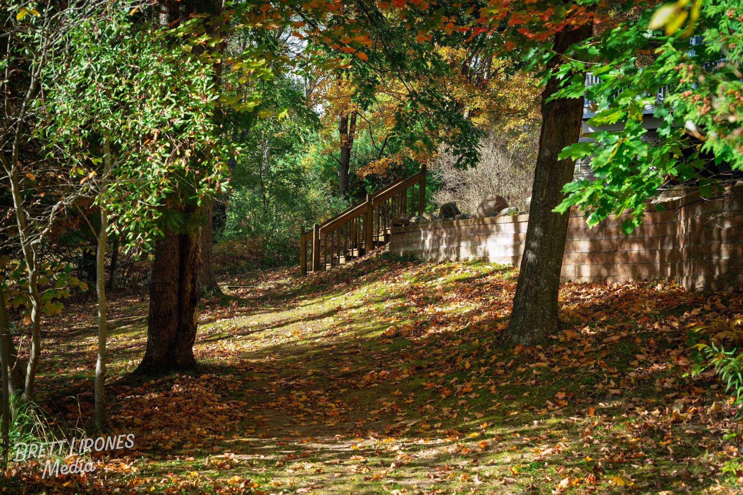 Watermark_web_A7R07656.jpg