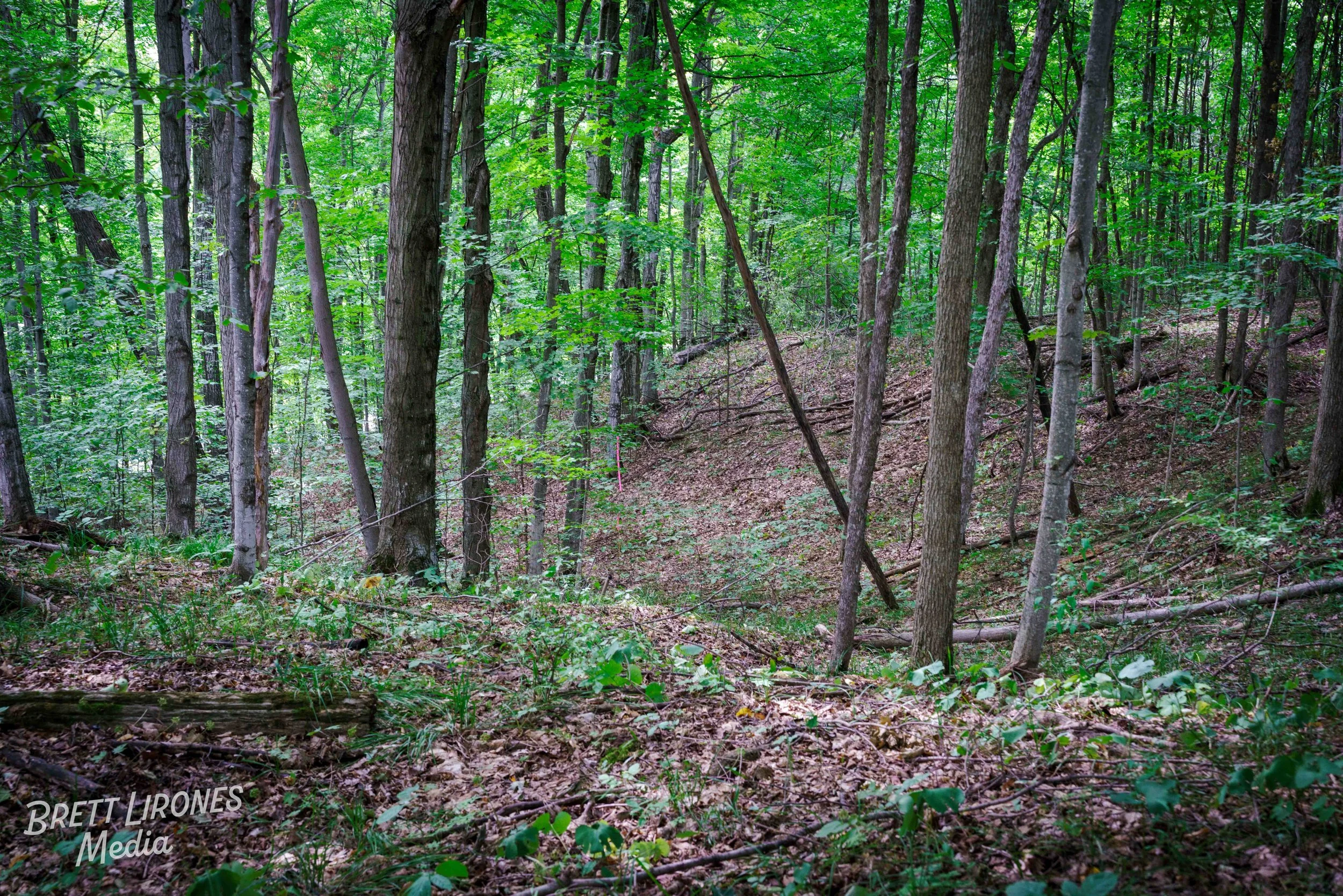 Watermark_web_A7R03106.jpg