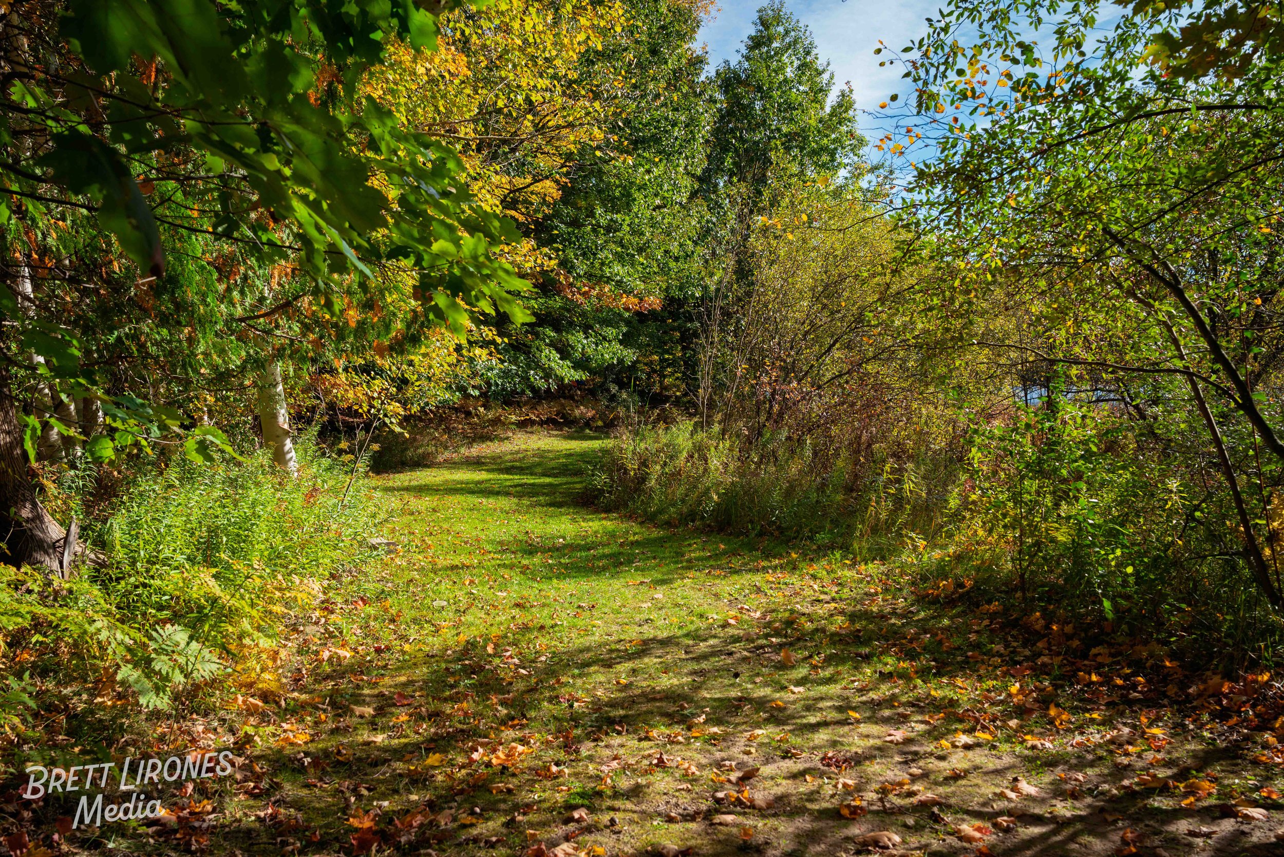 Watermark_web_A7R07637.jpg