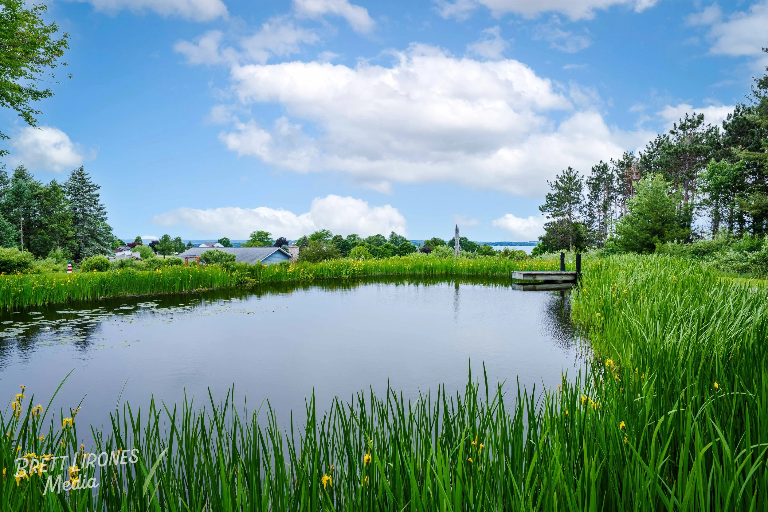 Watermark_web_A7402968-Edit.jpg