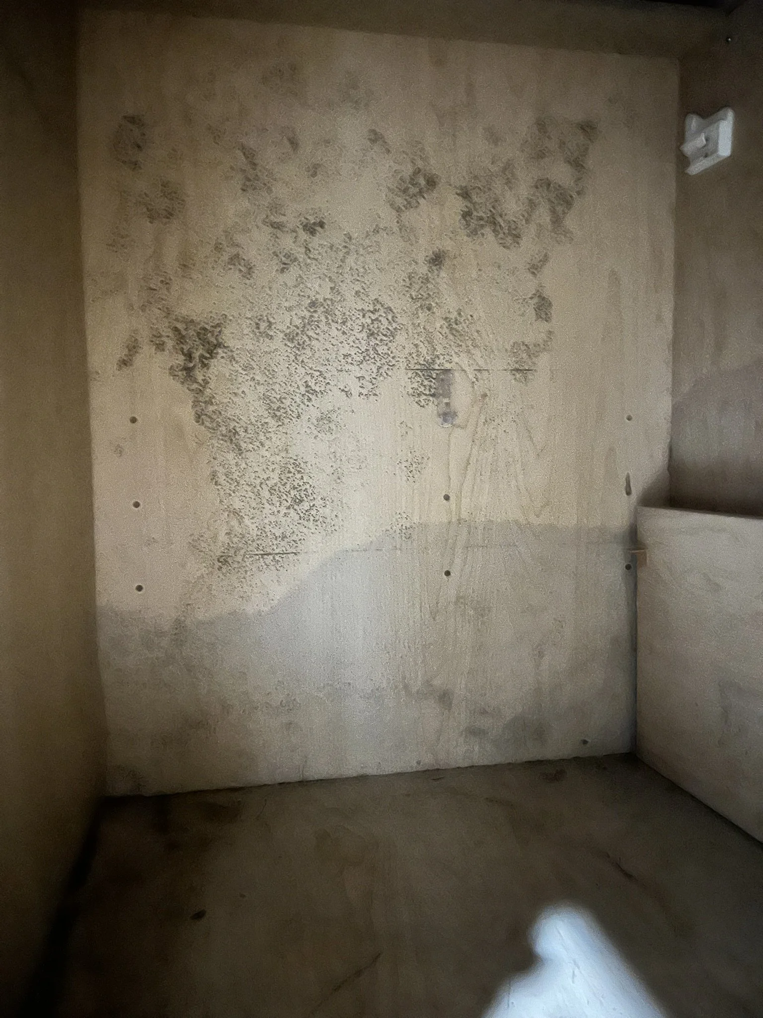 Close-up view of a cardboard box's interior, showing mold and stains on the inside walls and bottom.