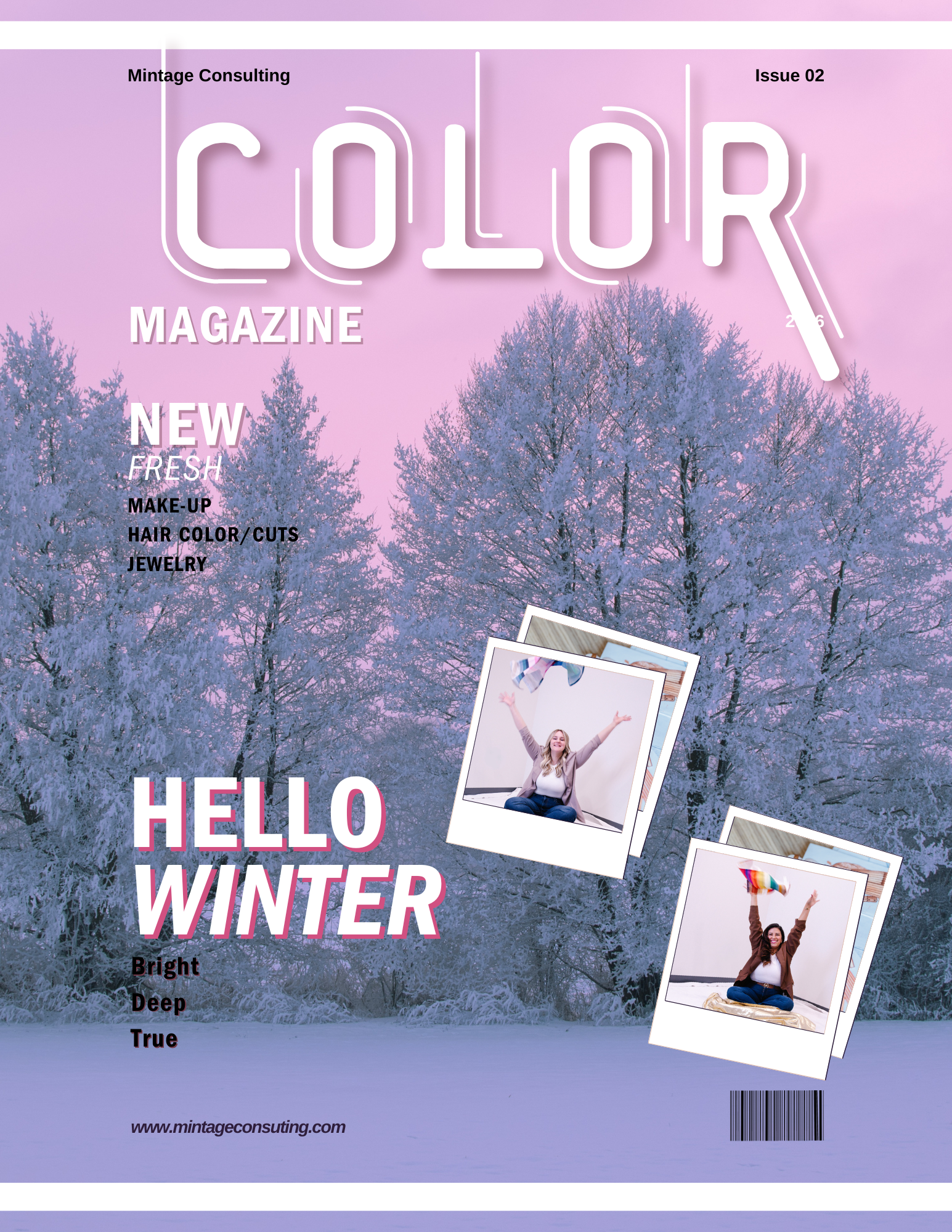 Color Analysis Winter .png