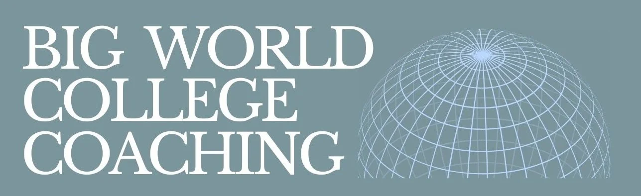 Big World College Coaching