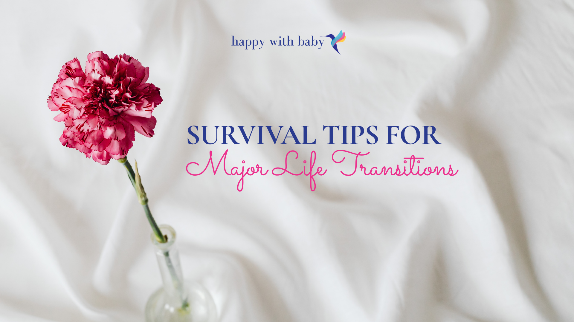 Survival Tips for Major Life Transitions