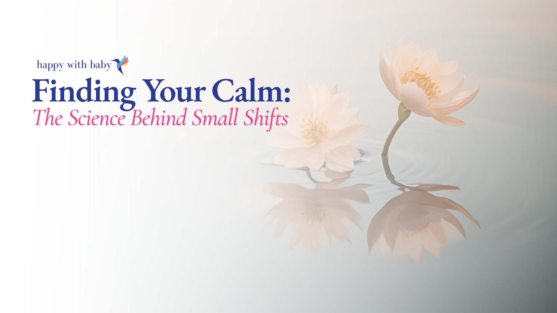 Finding Your Calm: The Science Behind Small Shifts