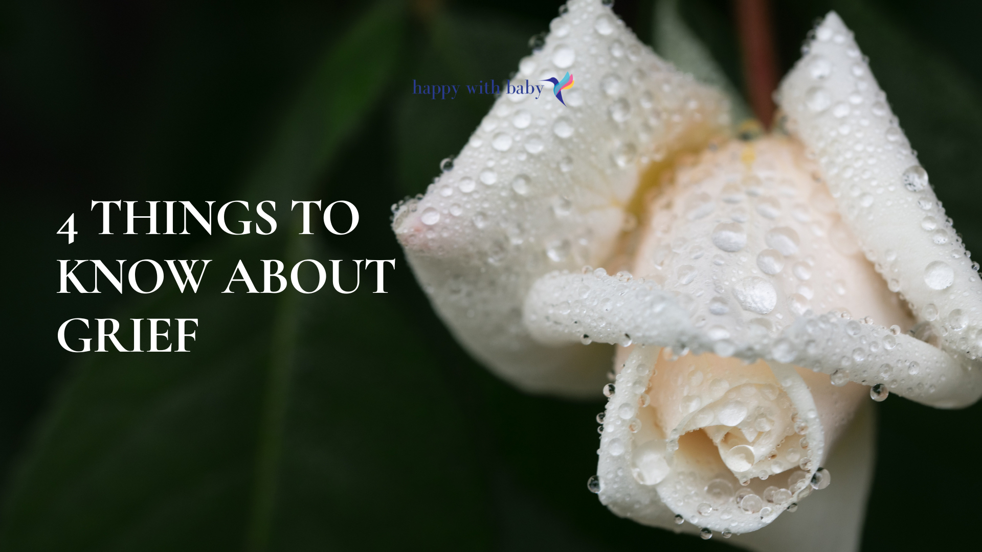 4 Things to Know About Grief