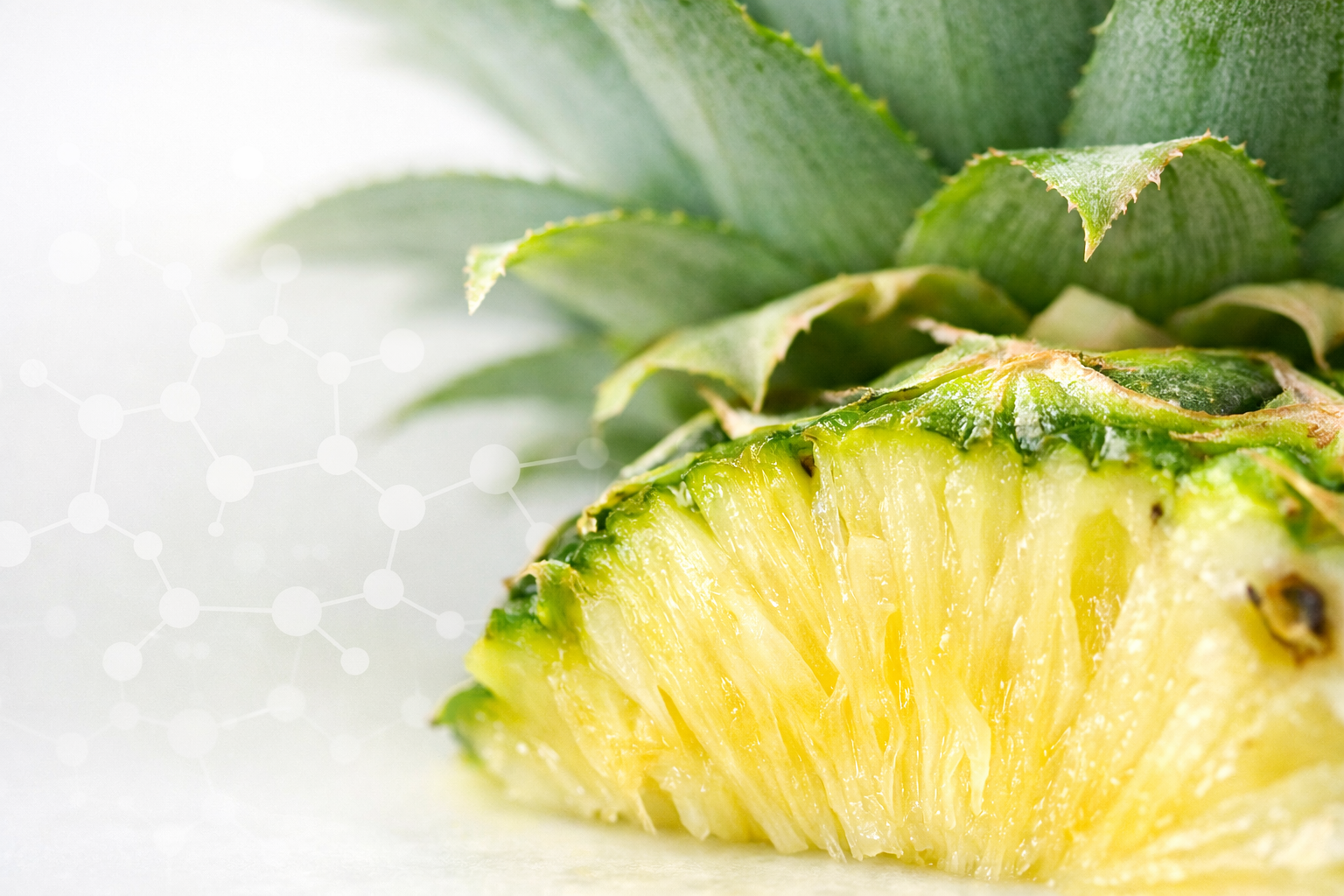 How Bromelain Supports the Body’s Natural Inflammatory Response