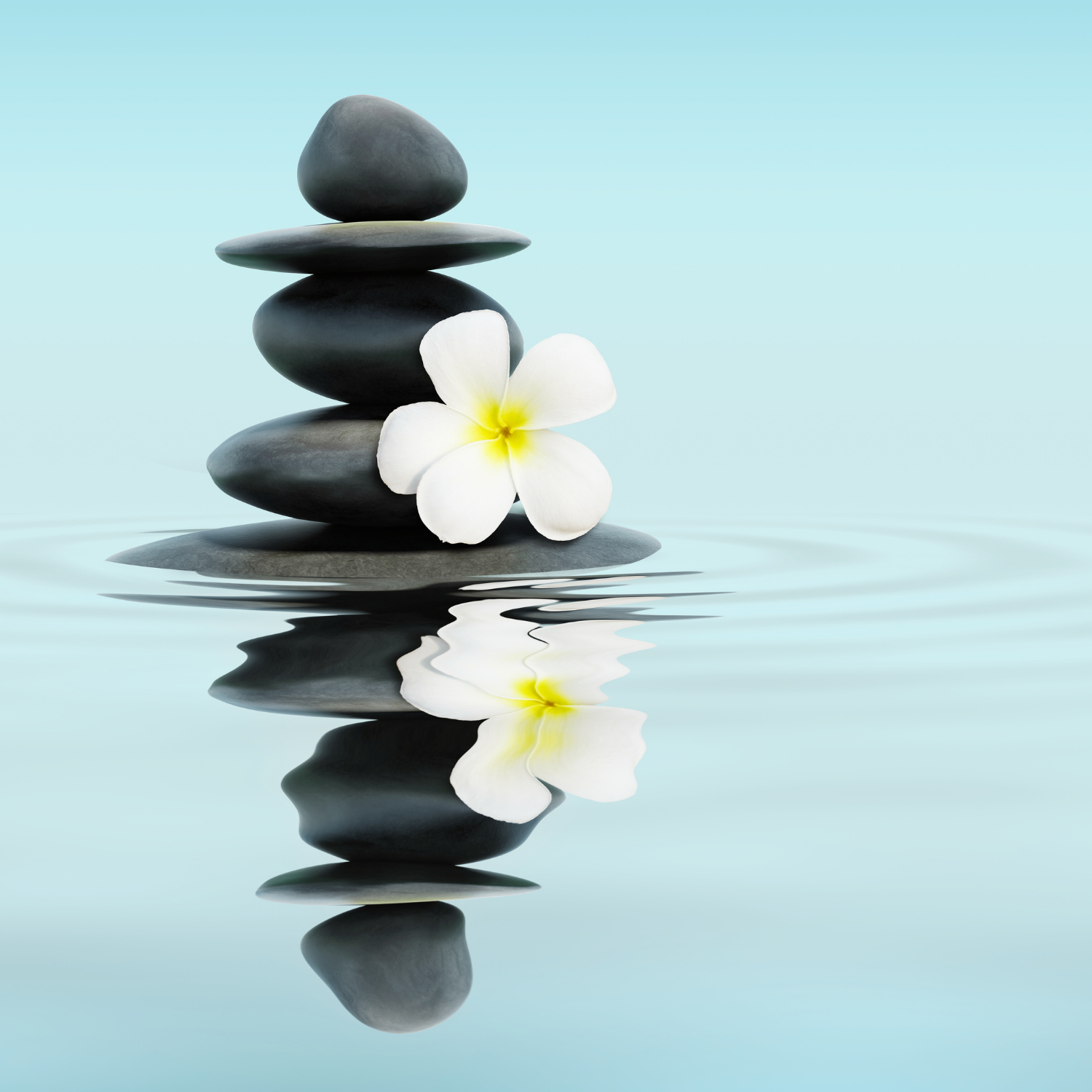 Stacked black stones with a white flower and yellow center, reflected on a calm water surface with gentle ripples, against a light blue background. couselling presence