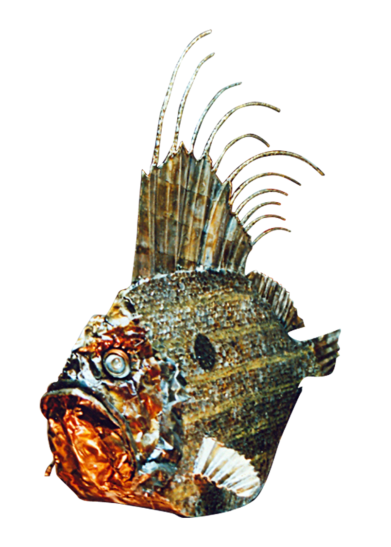 Titulo: Pez Gallo
Técnica: Lata de gaseosa,  y cartón
Medidas: 120 cm X 100cm
Año: 2000