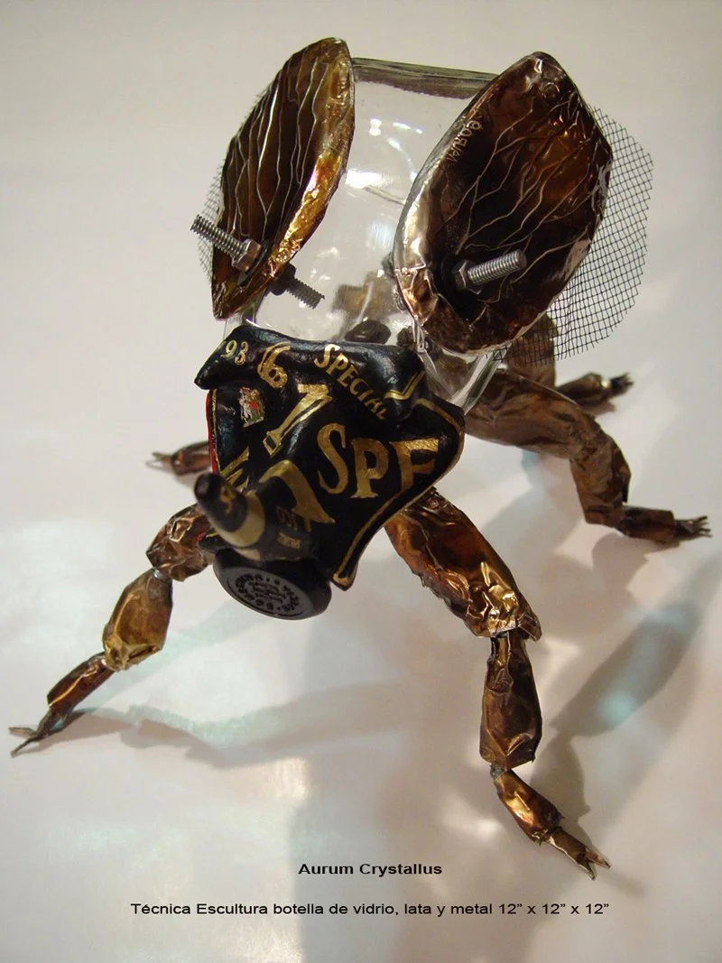Titulo: Escarabajo rinoceronte
Técnica: Botella de vidrio, Lata de aluminio, tornillos, y malla.
Medidas: 35cm X 30cm X 25cm
Año: 2009