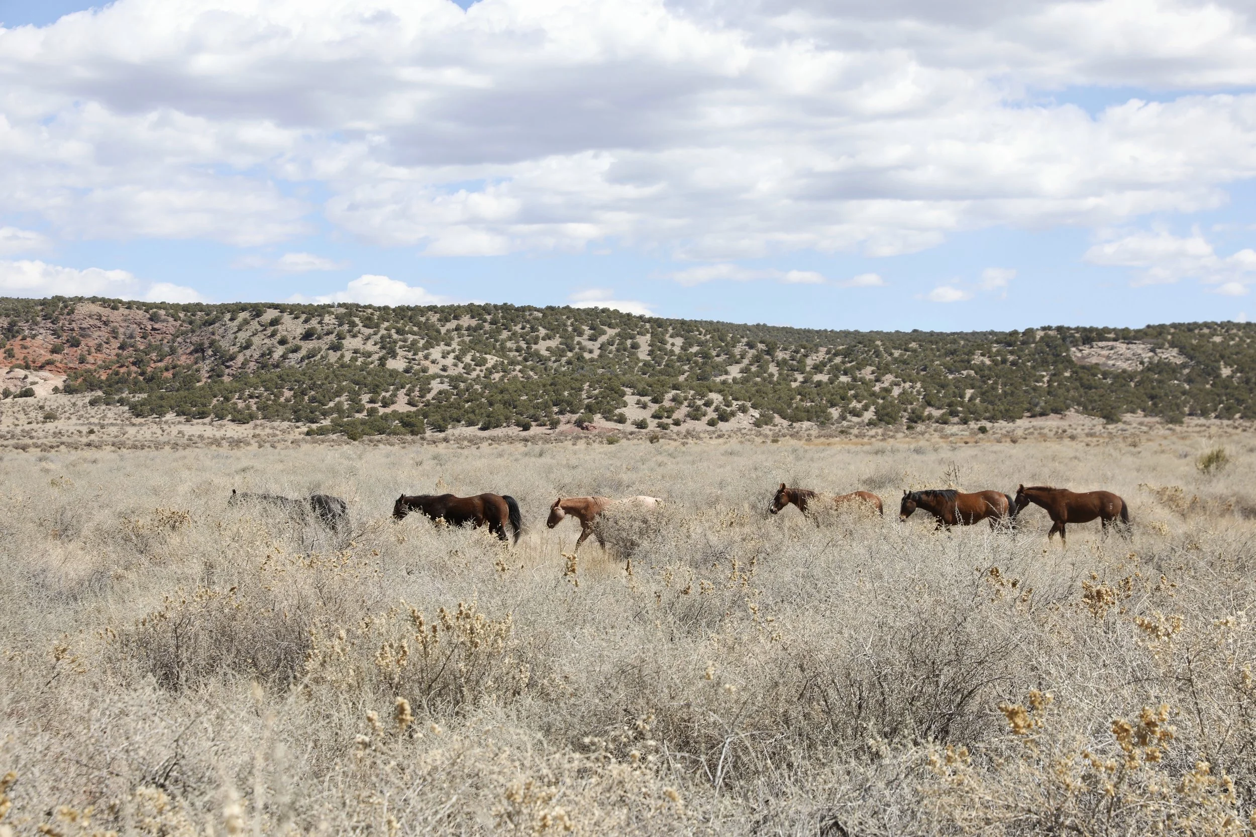 Photo Mar 22 2024, 2 24 29 AM.jpg