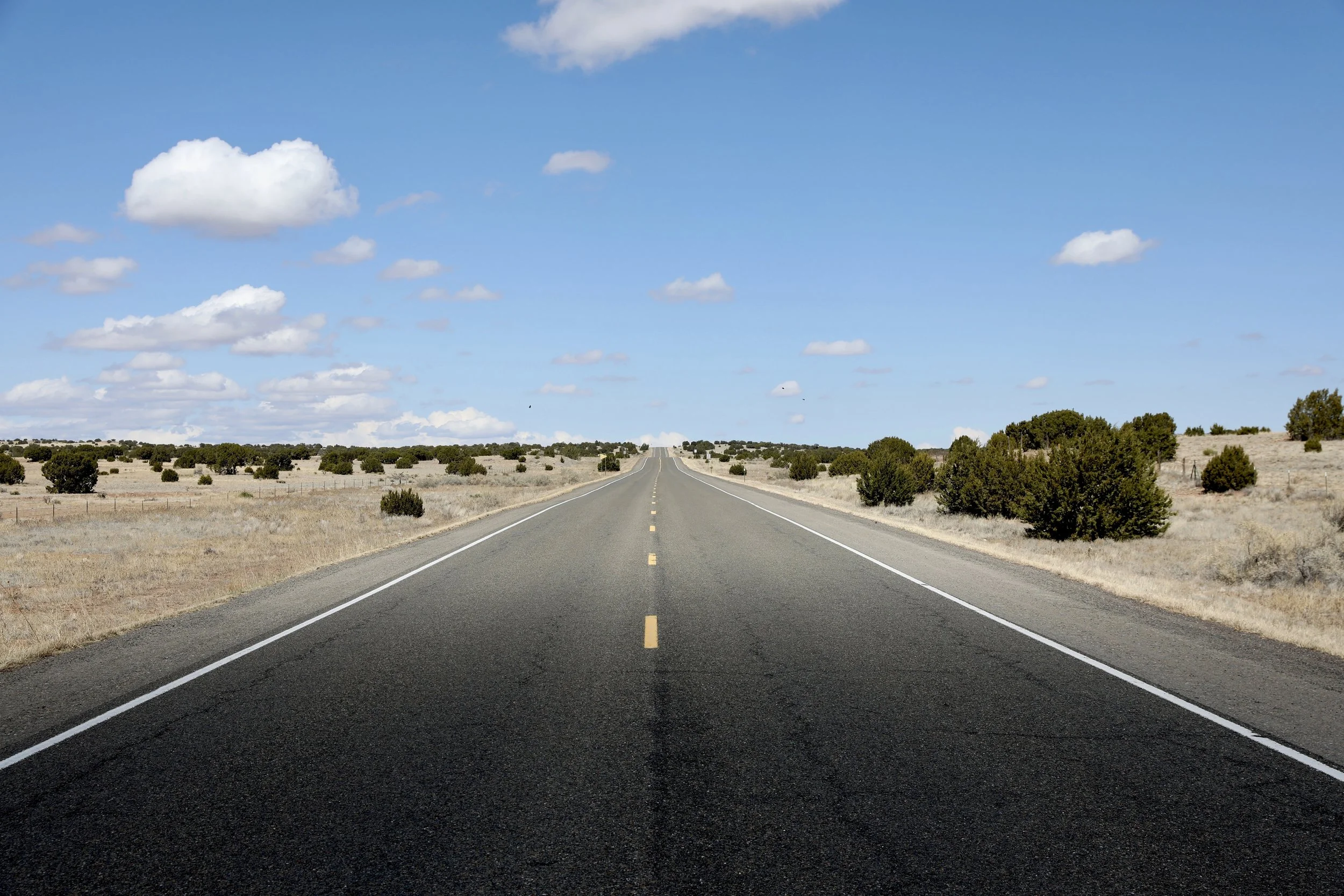 Empty straight road stretching into the horizon through a dry, flat landscape with sparse bushes and trees under a partly cloudy blue sky.