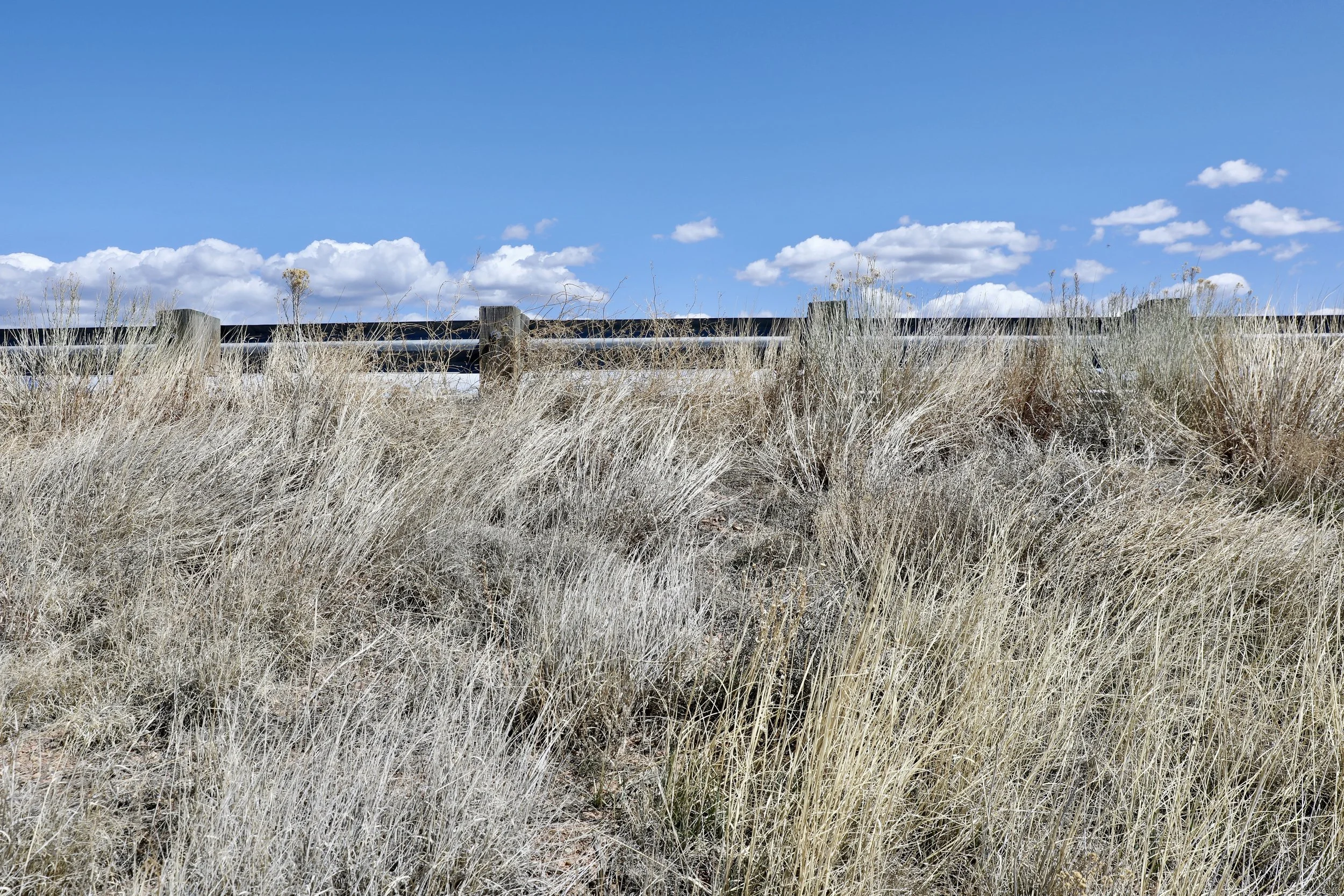 Dried grass near a wooden fence under a blue sky with white clouds.