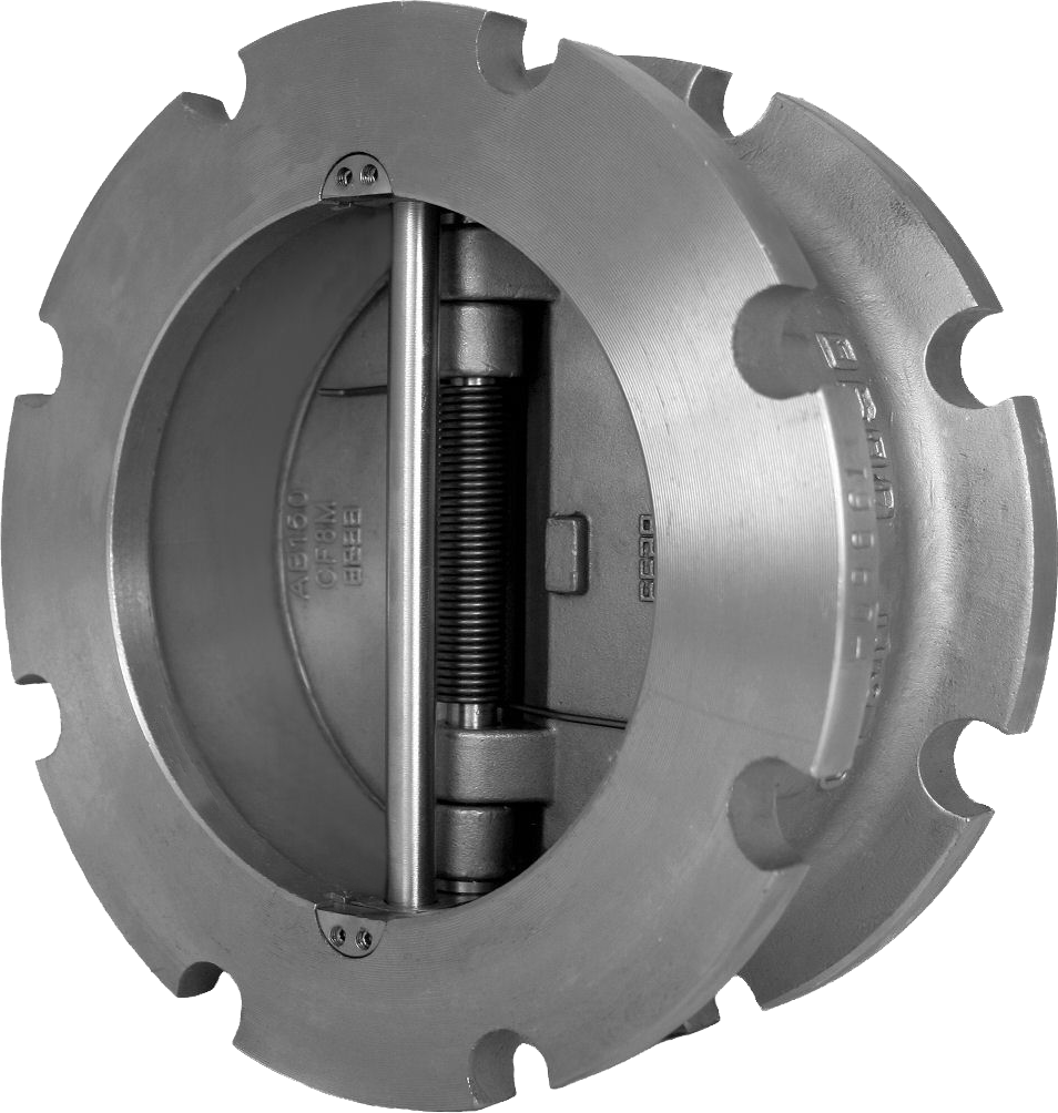 check valve