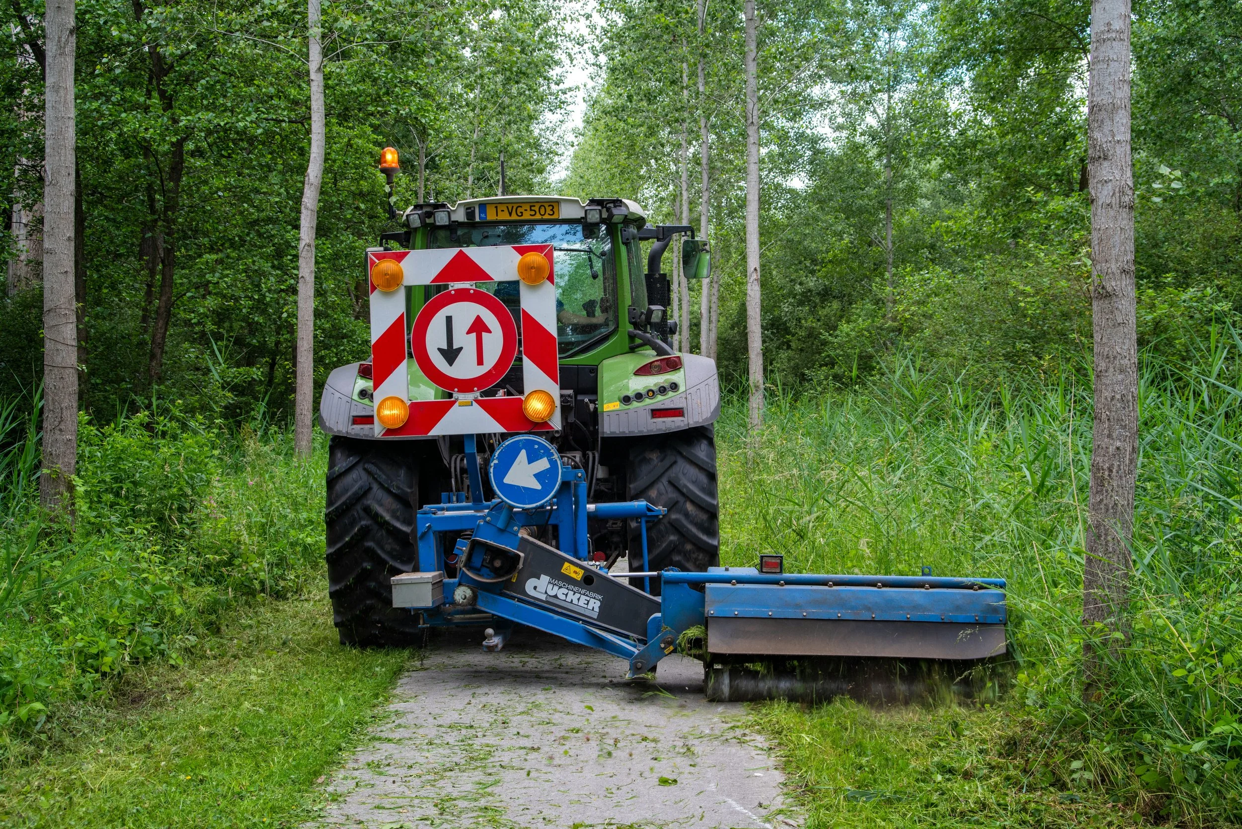 A green tractor clearing grass and plants along a narrow paved pathway in a forested area with trees and lush vegetation.
