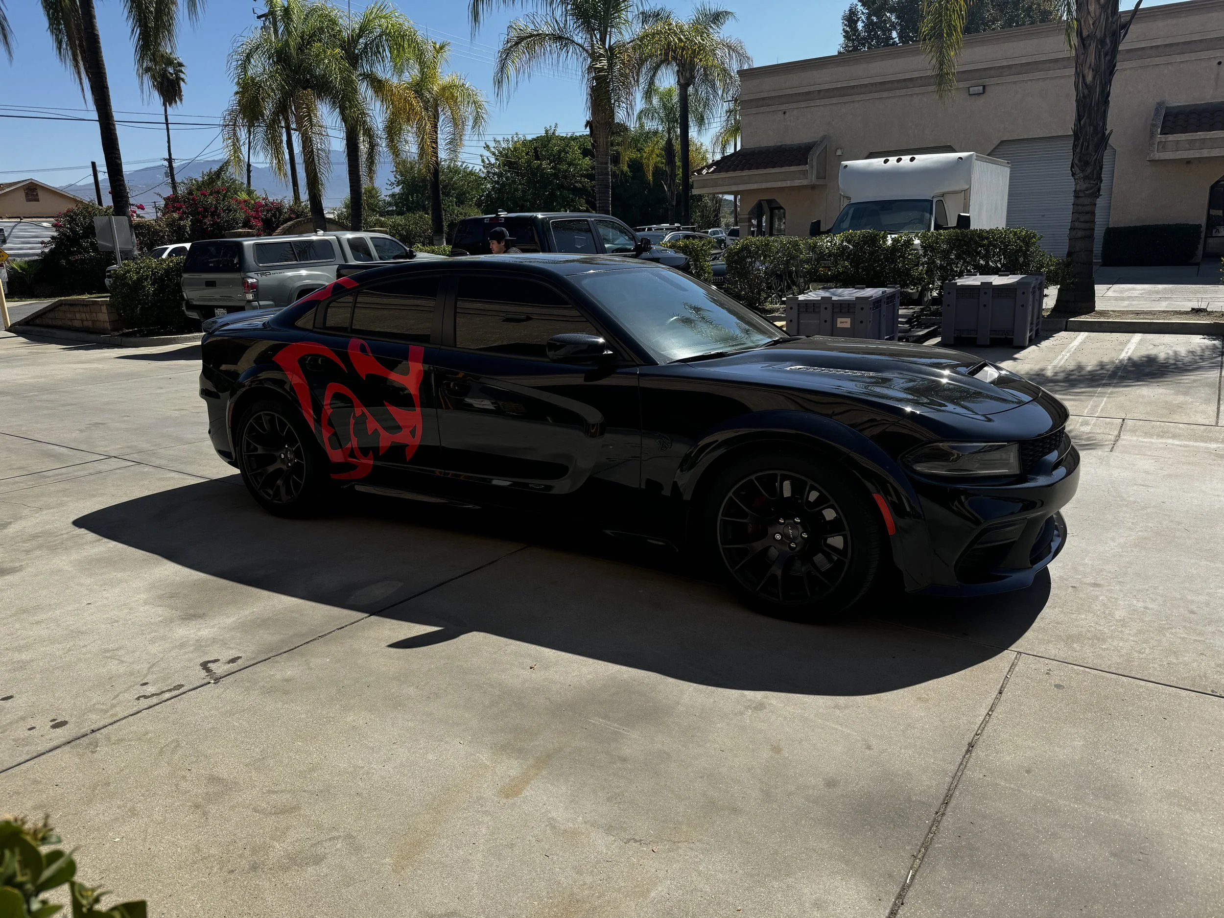 Black sports car with red design on the side, parked in a lot with palm trees and other vehicles in the background.