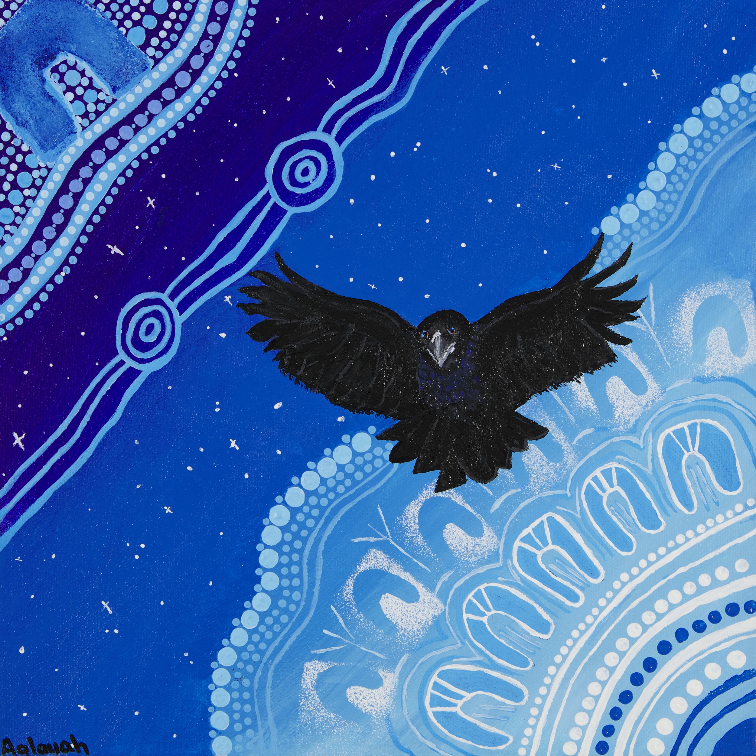 1272-24 Aalayah Determined Little Crow 2024-300ppi.jpg