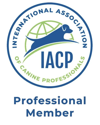 Screenshot 2026-01-12 at 7.52.44 PM.png