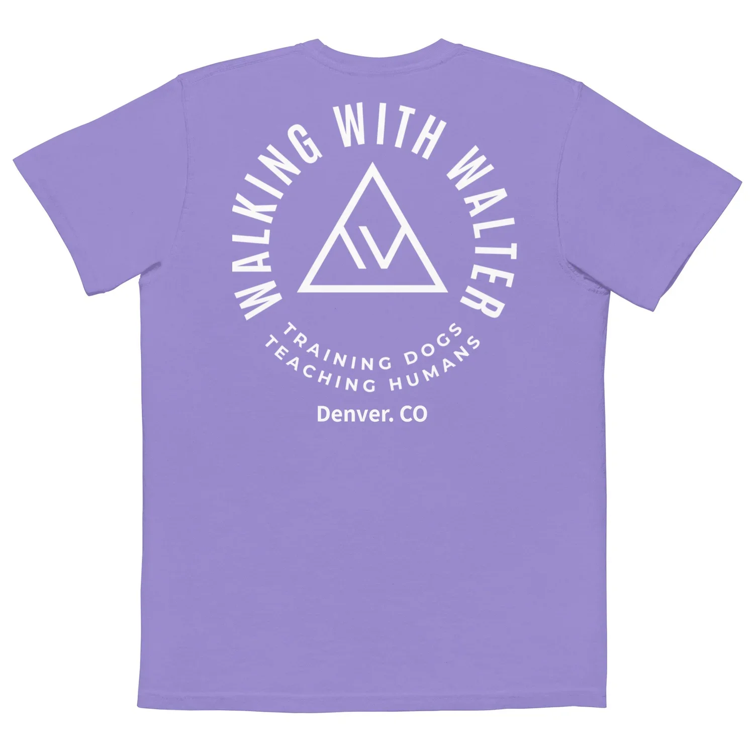 unisex-garment-dyed-pocket-t-shirt-violet-back-630e69297941b.jpg.webp