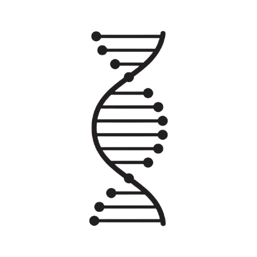 Illustration of a DNA double helix with black and white strands and colored base pairs.