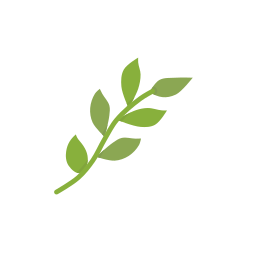 Illustration of a green leafy branch.