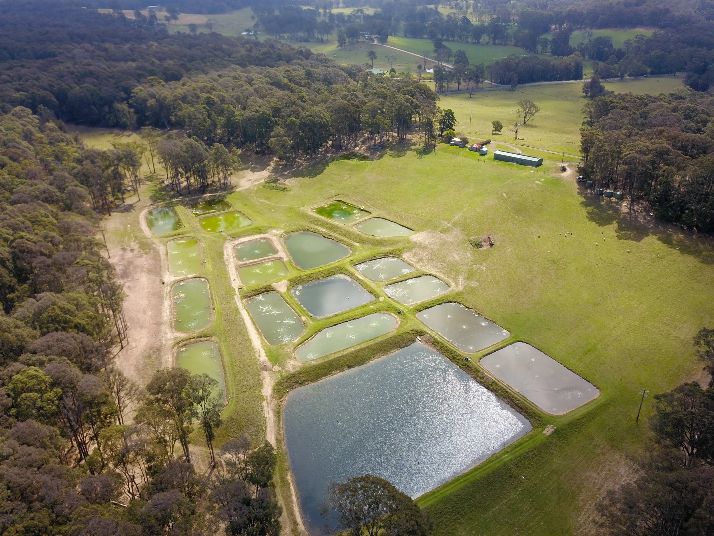 Aerial view of rearing dams