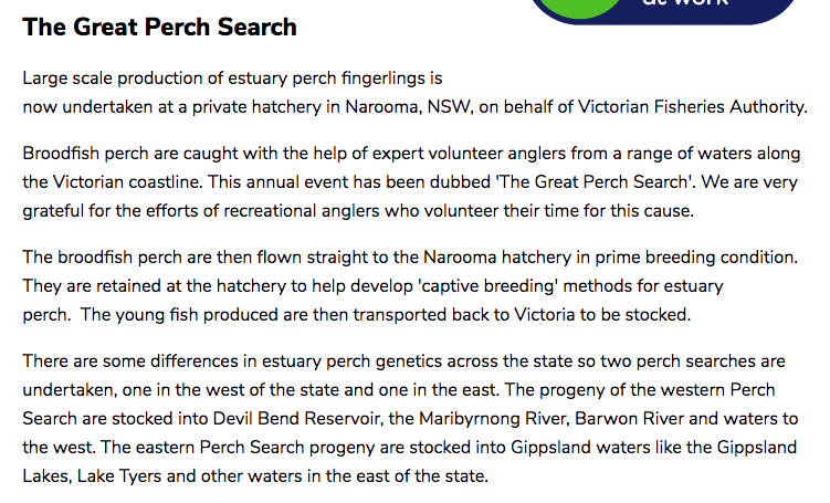 Estuary Perch stocking VFA